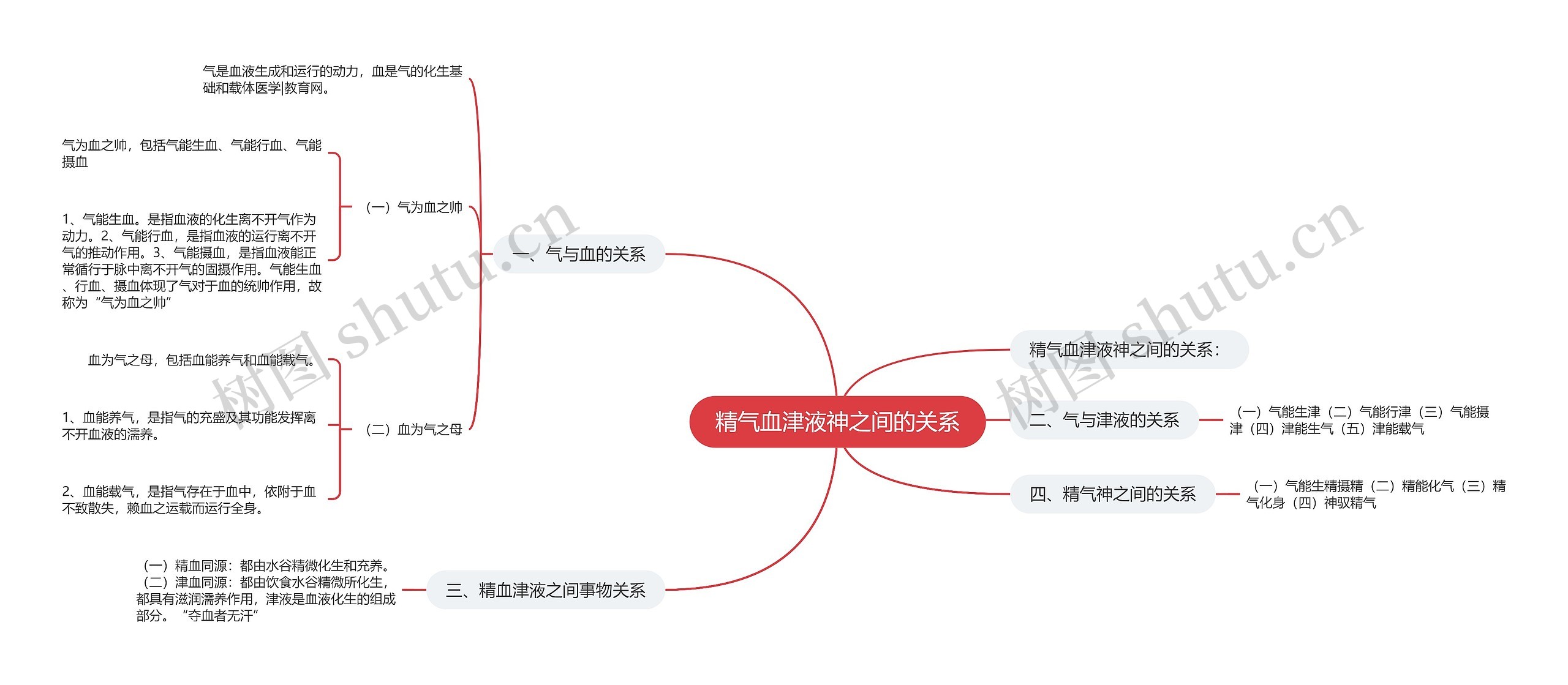 精气血津液神之间的关系思维导图