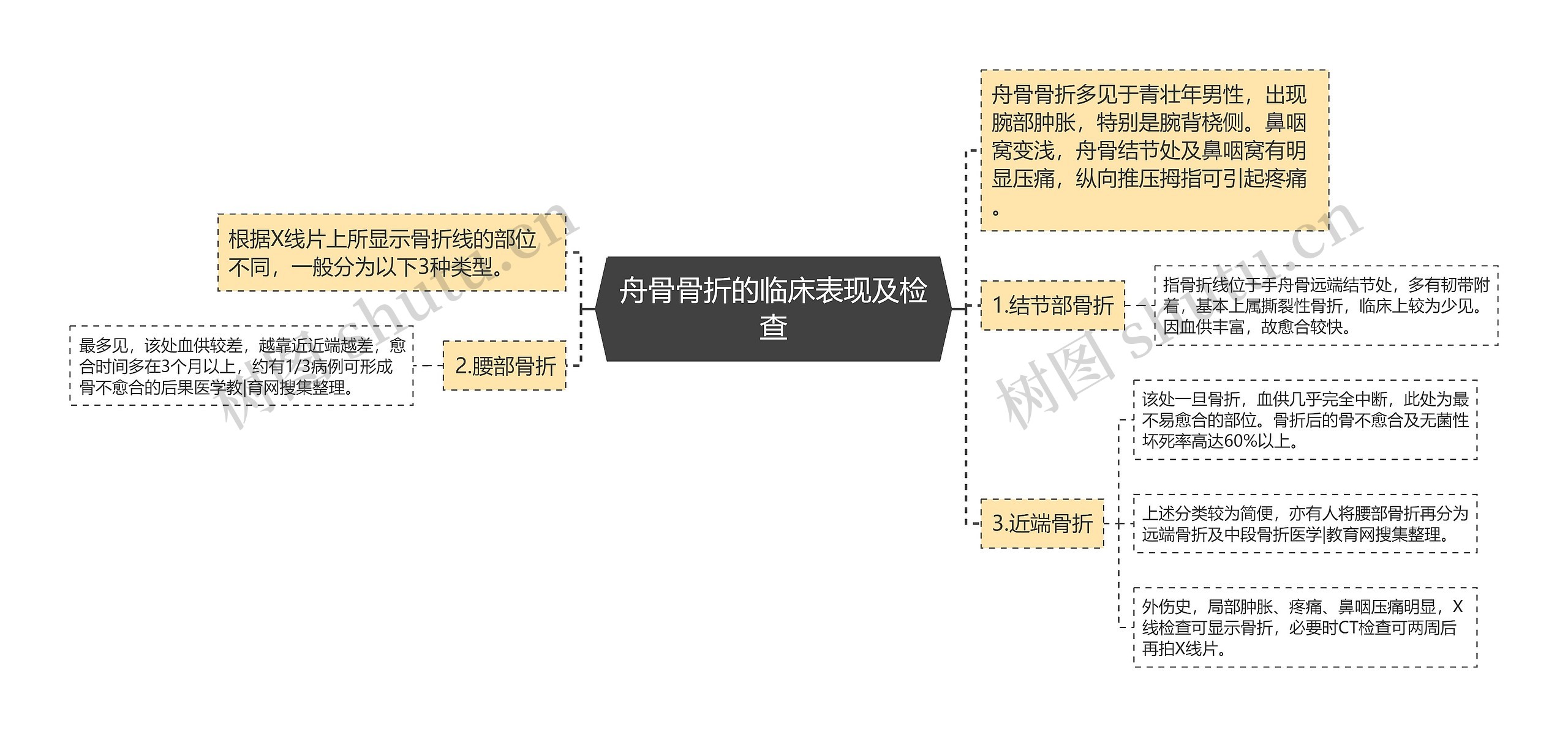 舟骨骨折的临床表现及检查