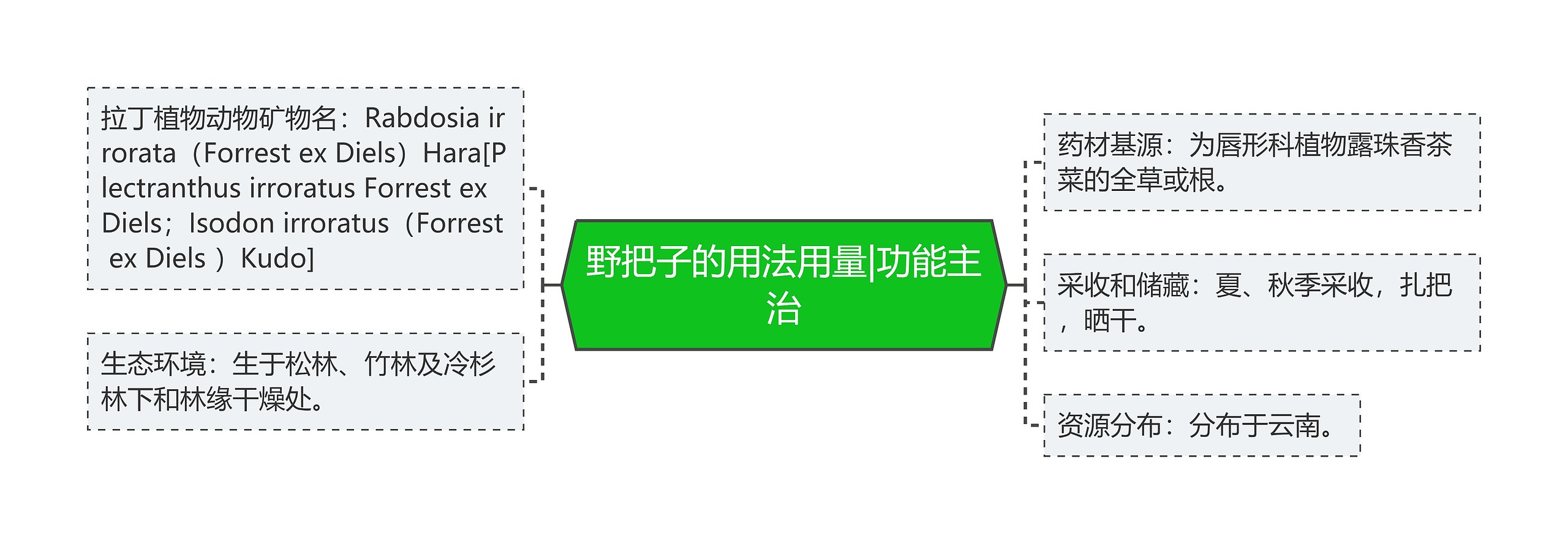 野把子的用法用量|功能主治