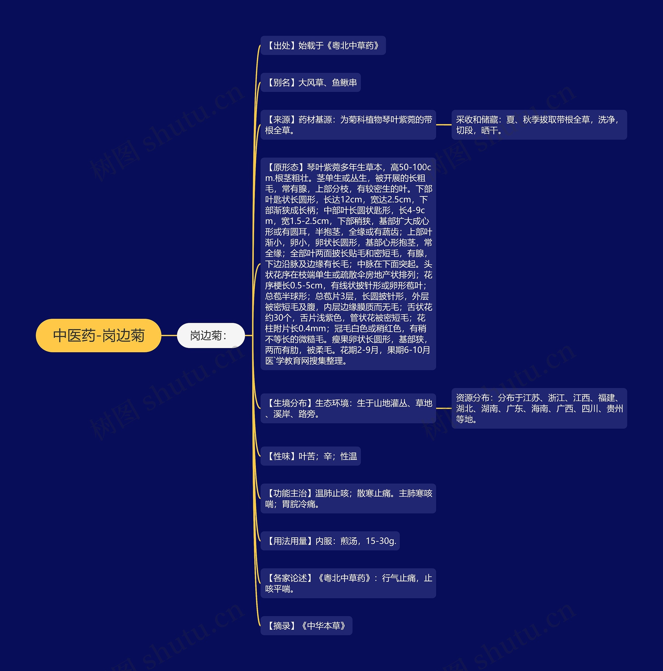 中医药-岗边菊 中医药-岗边菊