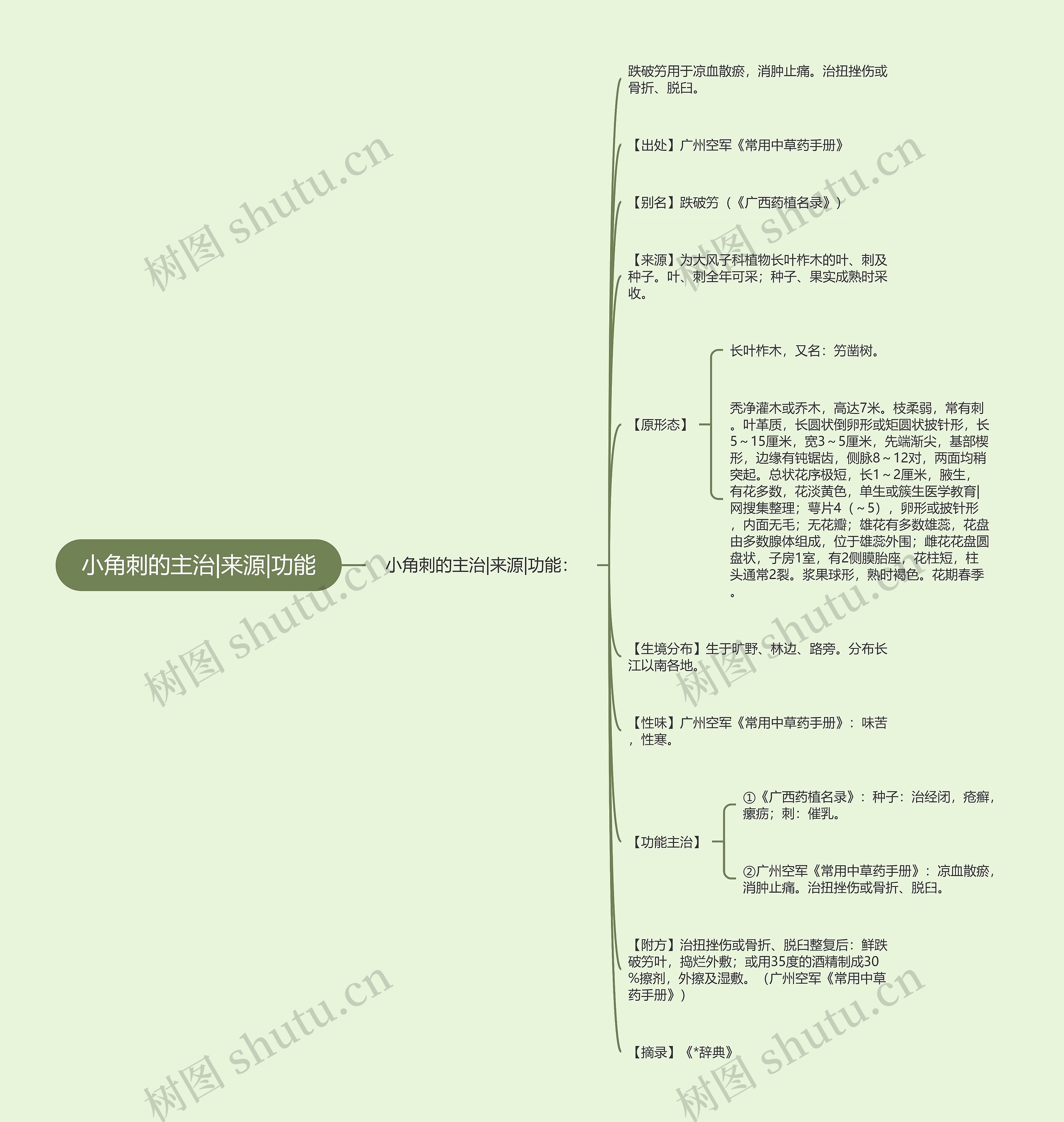 小角刺的主治|来源|功能思维导图