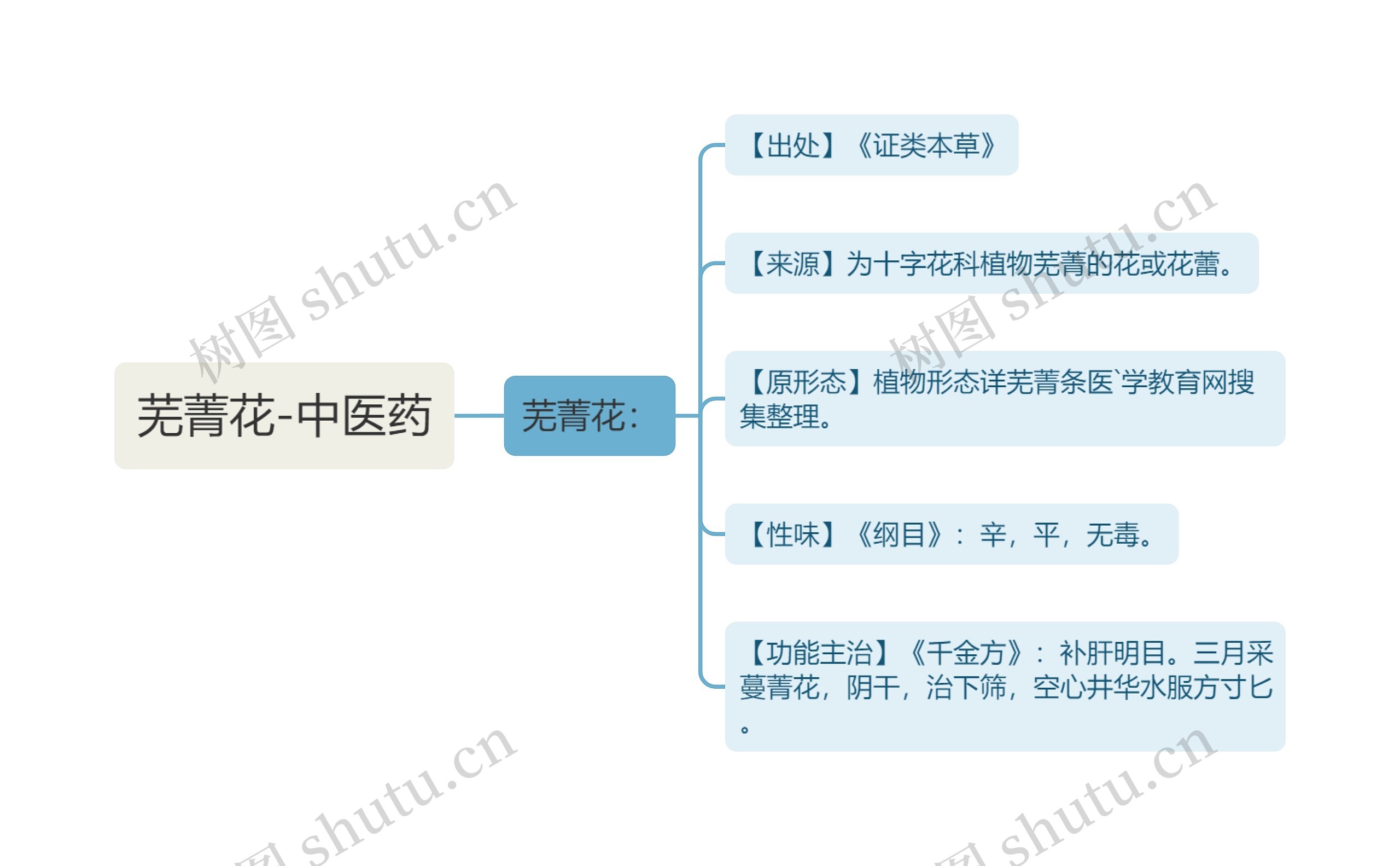 芜菁花-中医药思维导图