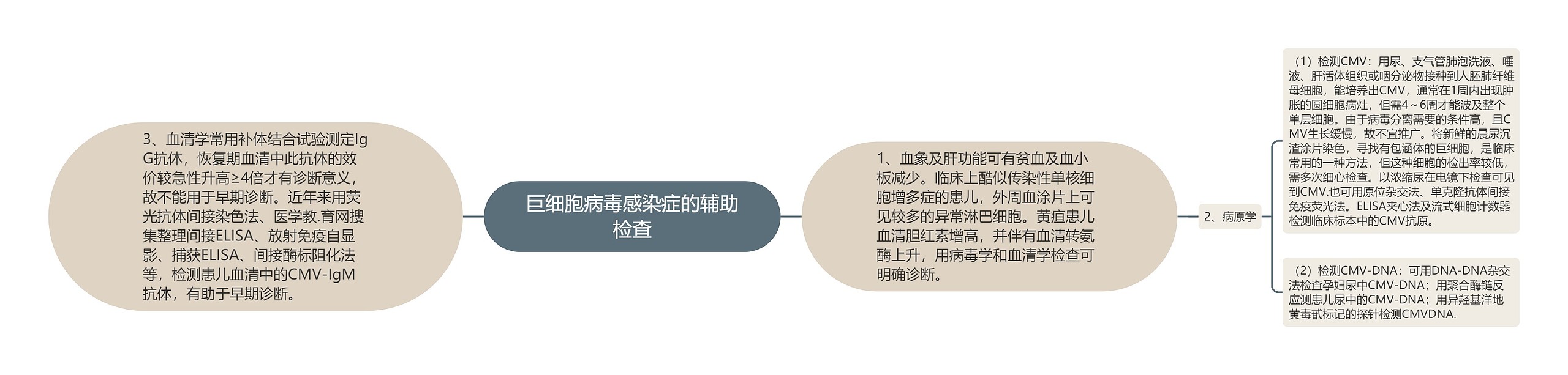 巨细胞病毒感染症的辅助检查