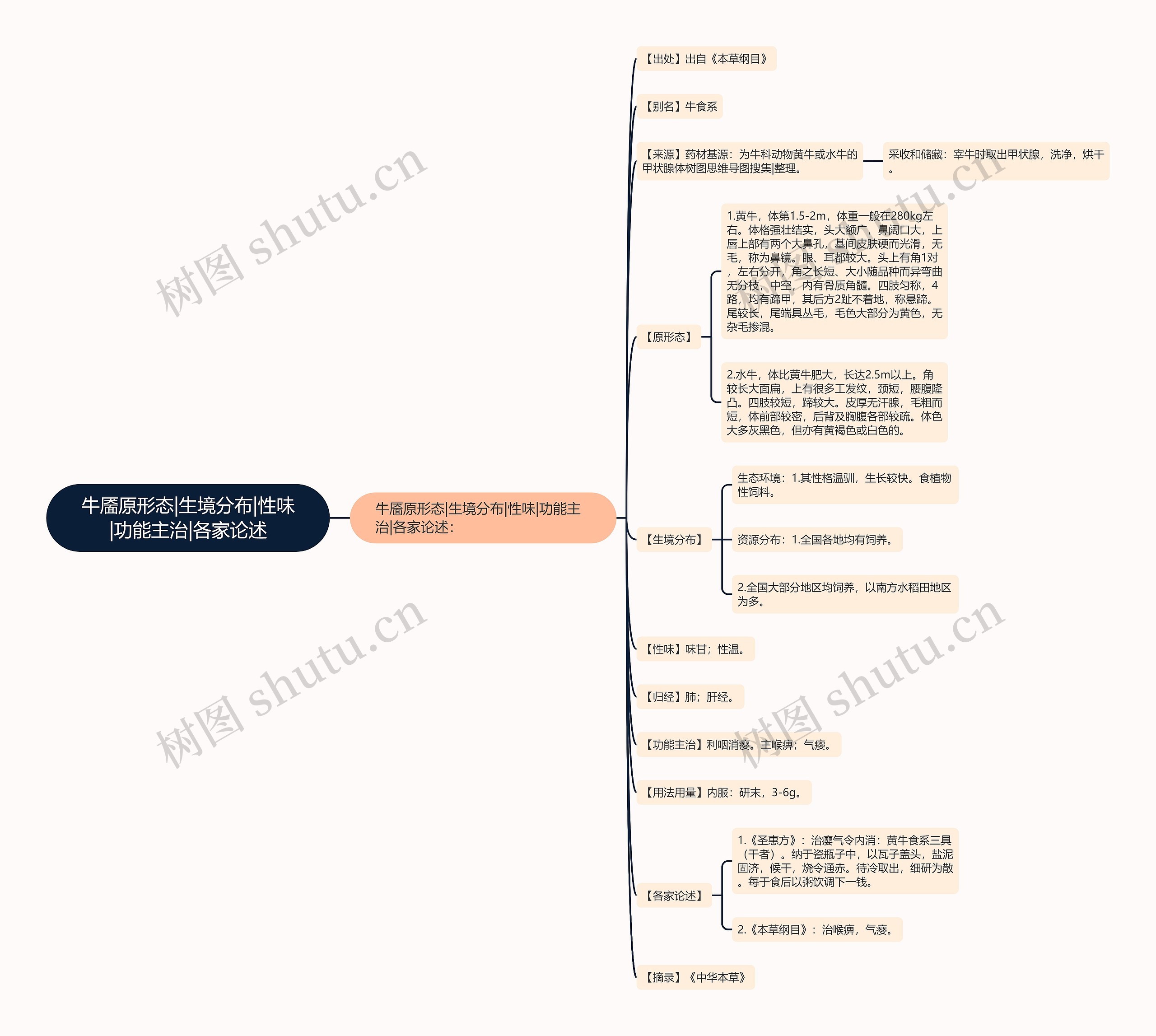 牛靥原形态|生境分布|性味|功能主治|各家论述思维导图