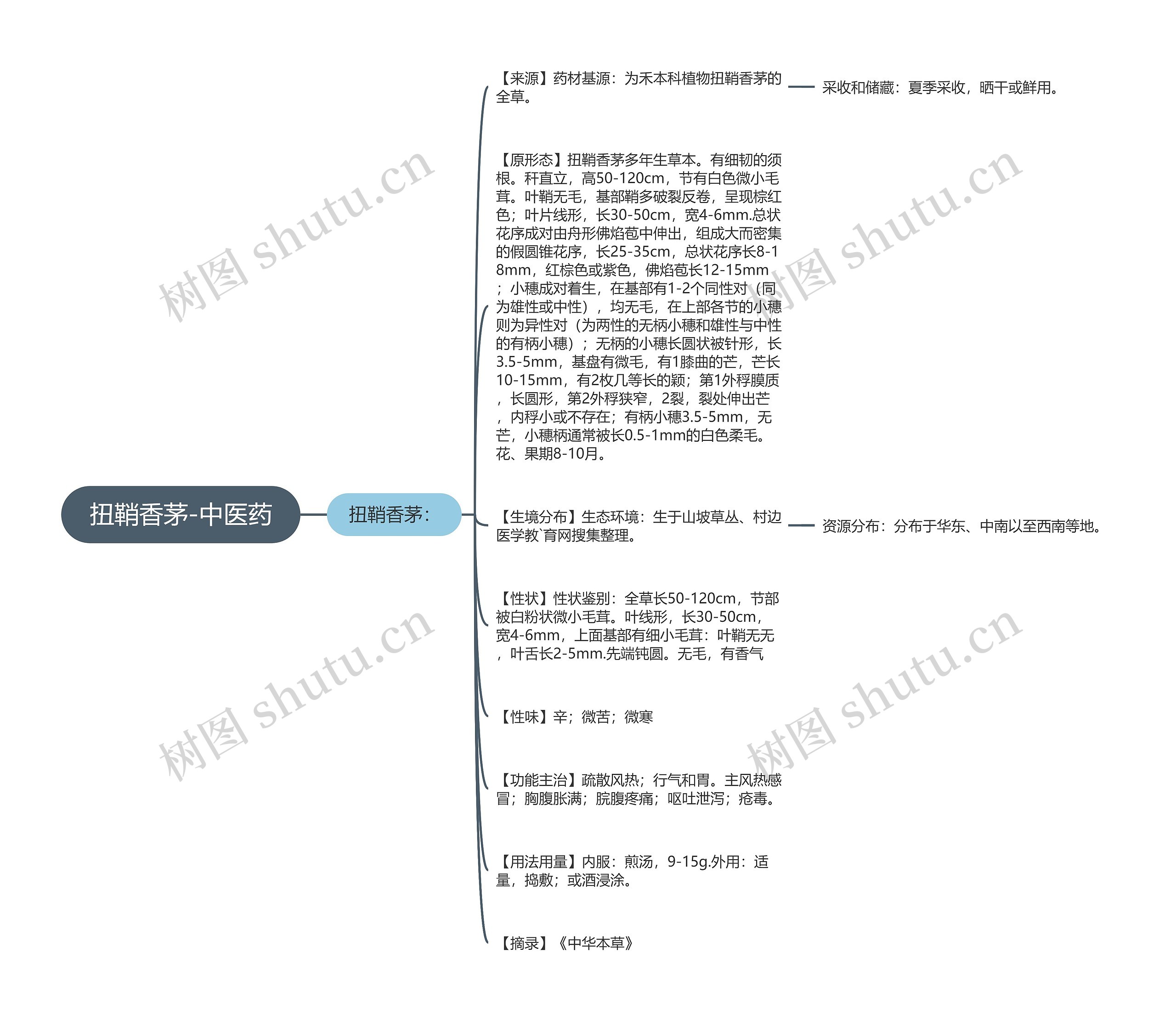 扭鞘香茅-中医药思维导图