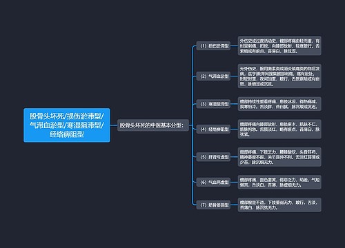 股骨头坏死/损伤淤滞型/气滞血淤型/寒湿阻滞型/经络痹阻型