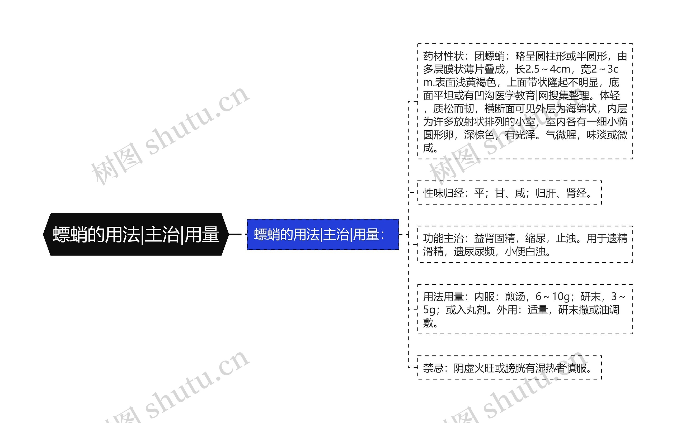 螵蛸的用法|主治|用量思维导图