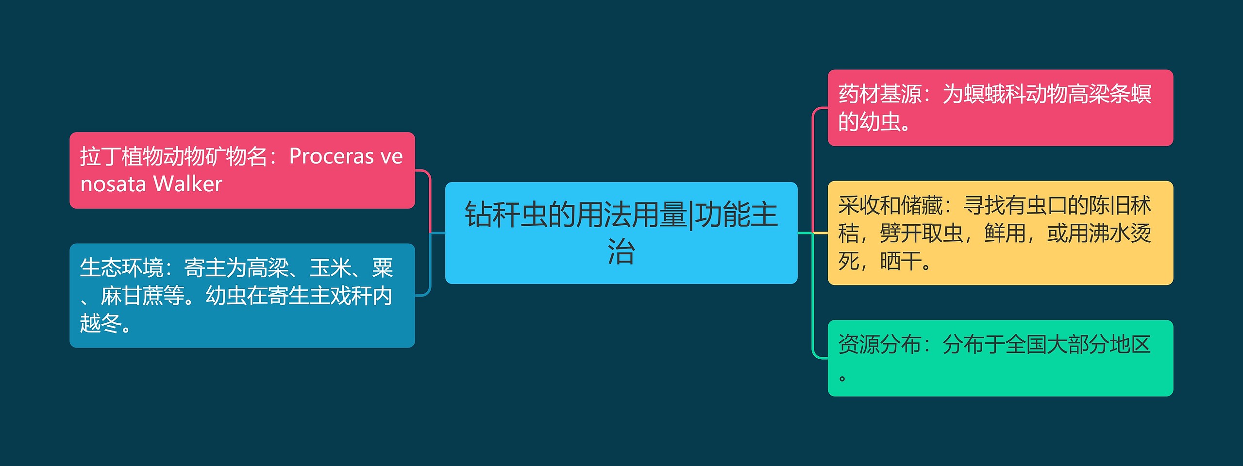 钻秆虫的用法用量|功能主治