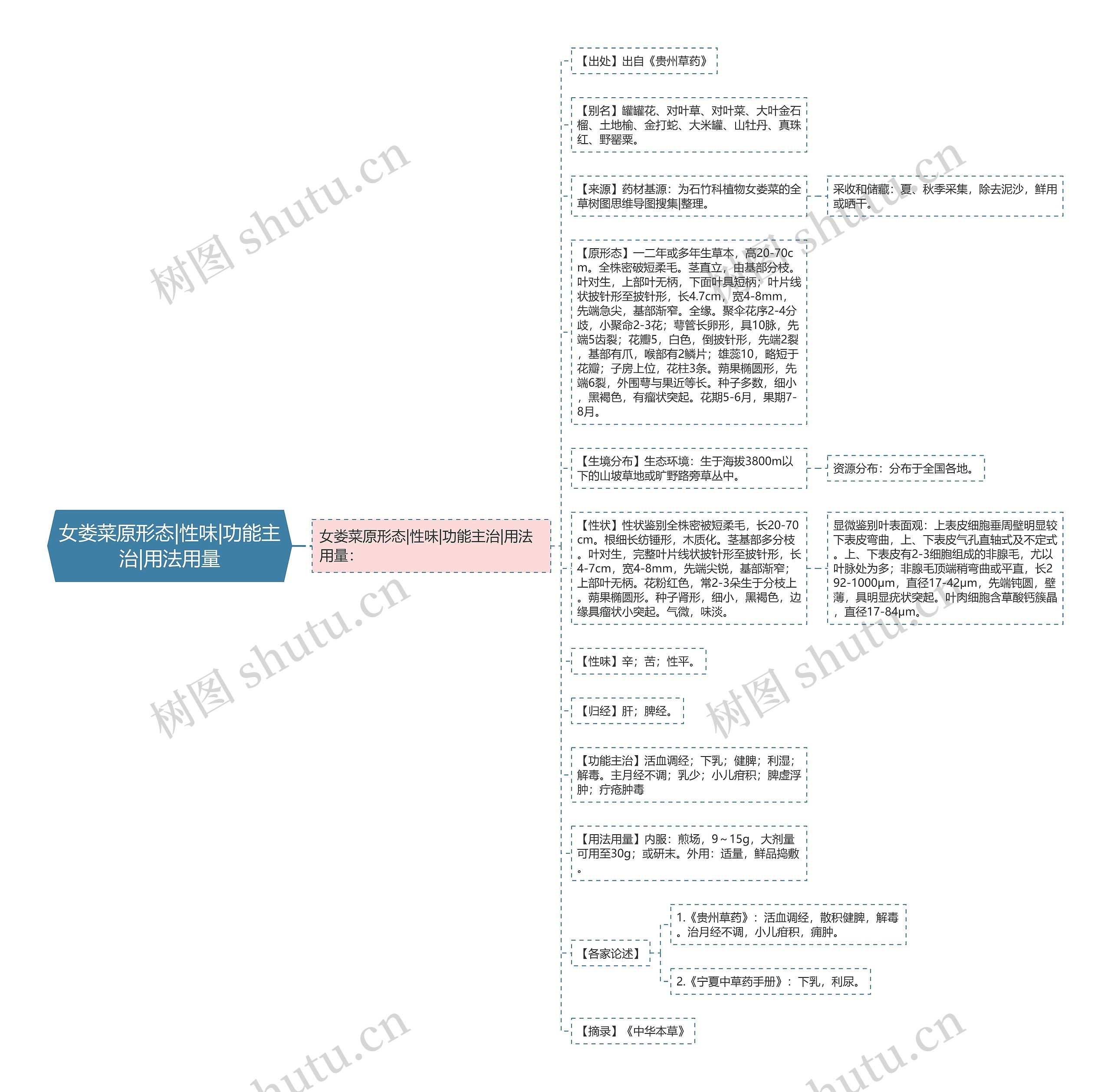 女娄菜原形态|性味|功能主治|用法用量思维导图