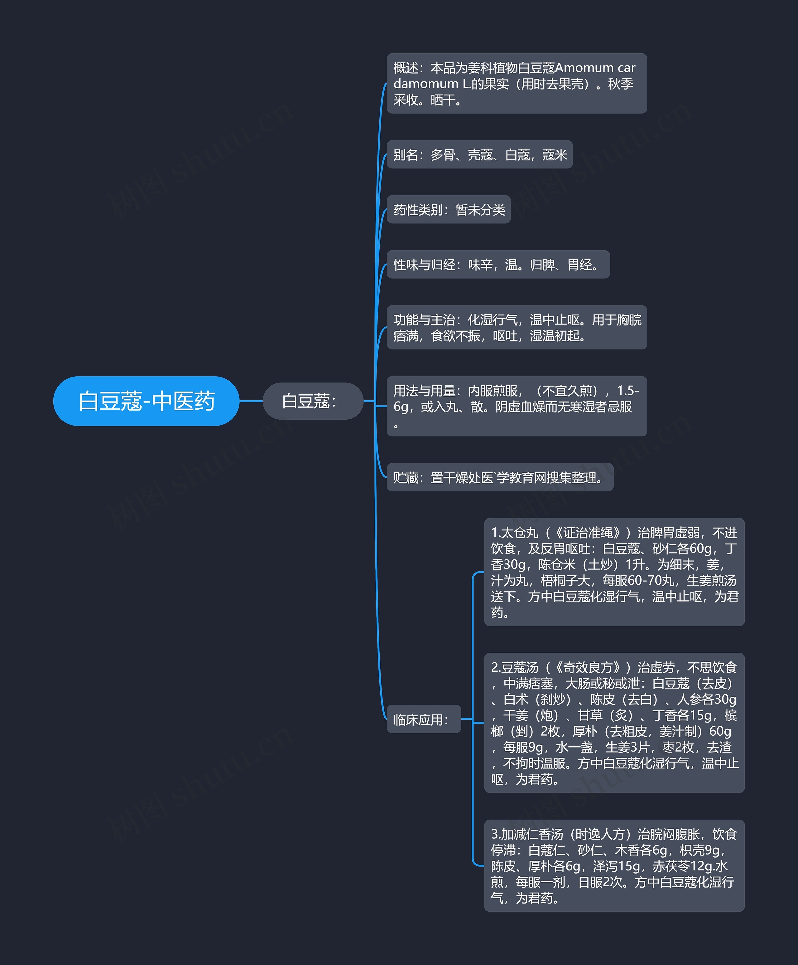 白豆蔻-中医药 白豆蔻-中医药