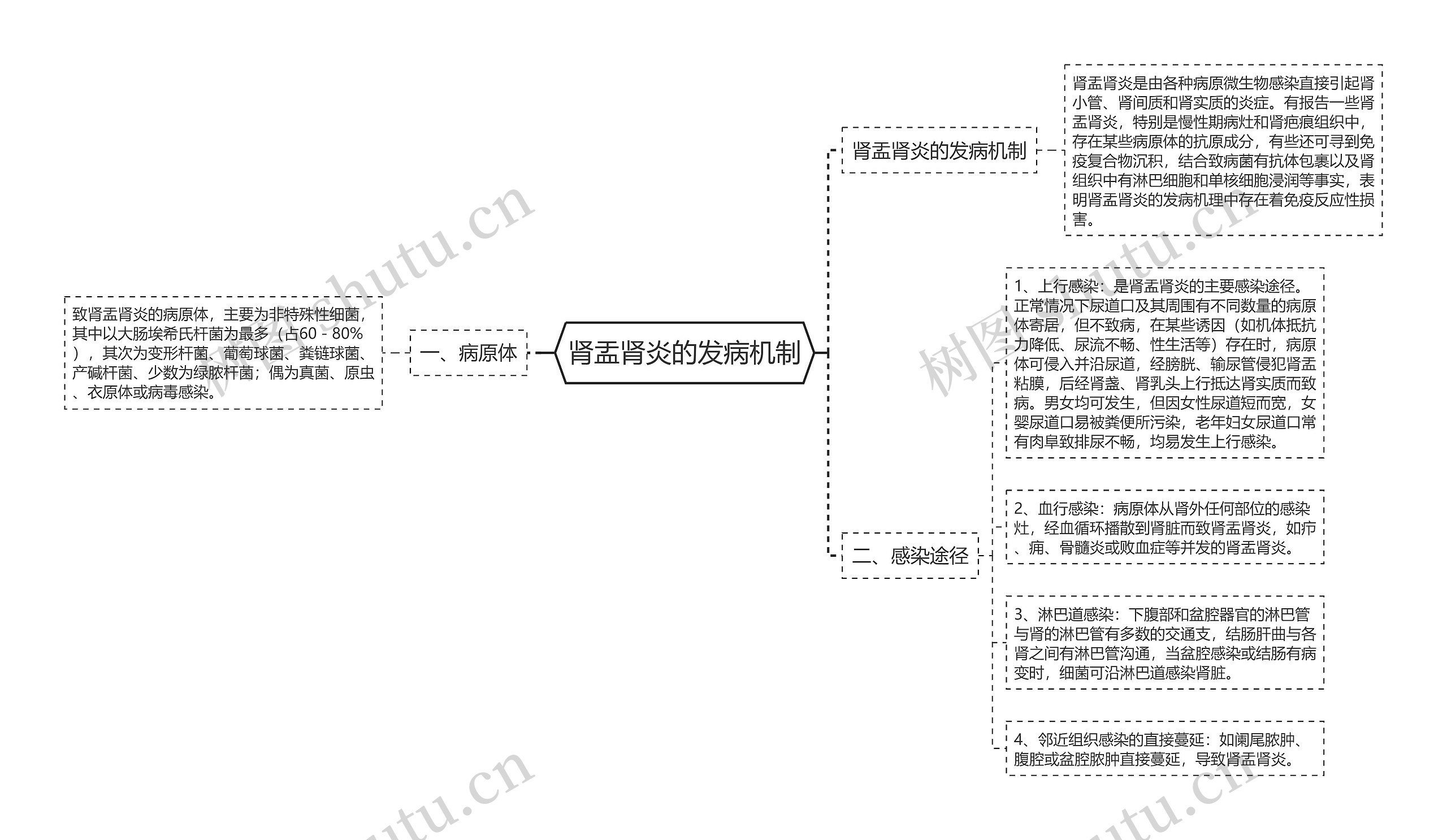 肾盂肾炎的发病机制思维导图