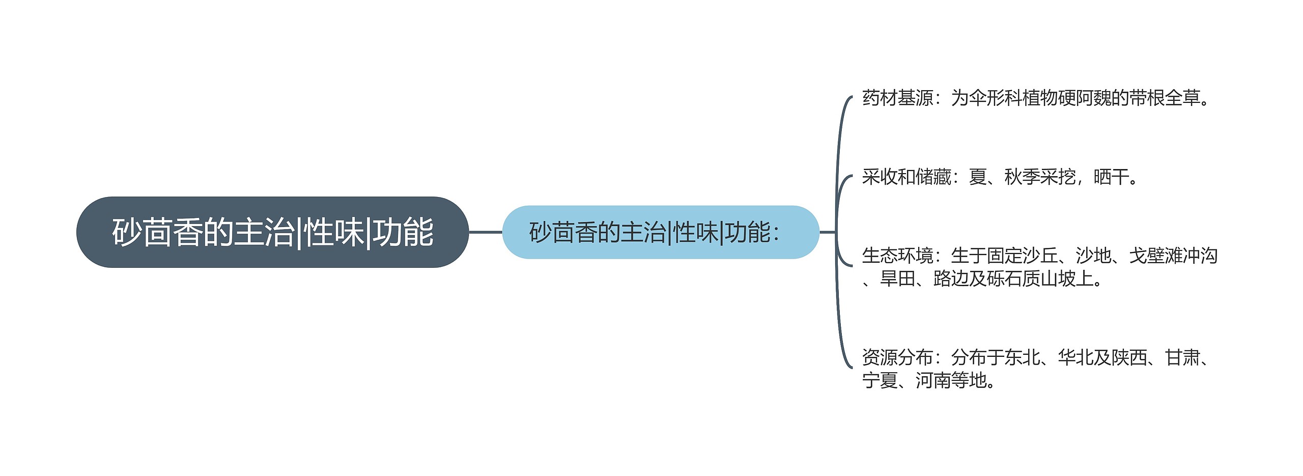 砂茴香的主治|性味|功能思维导图