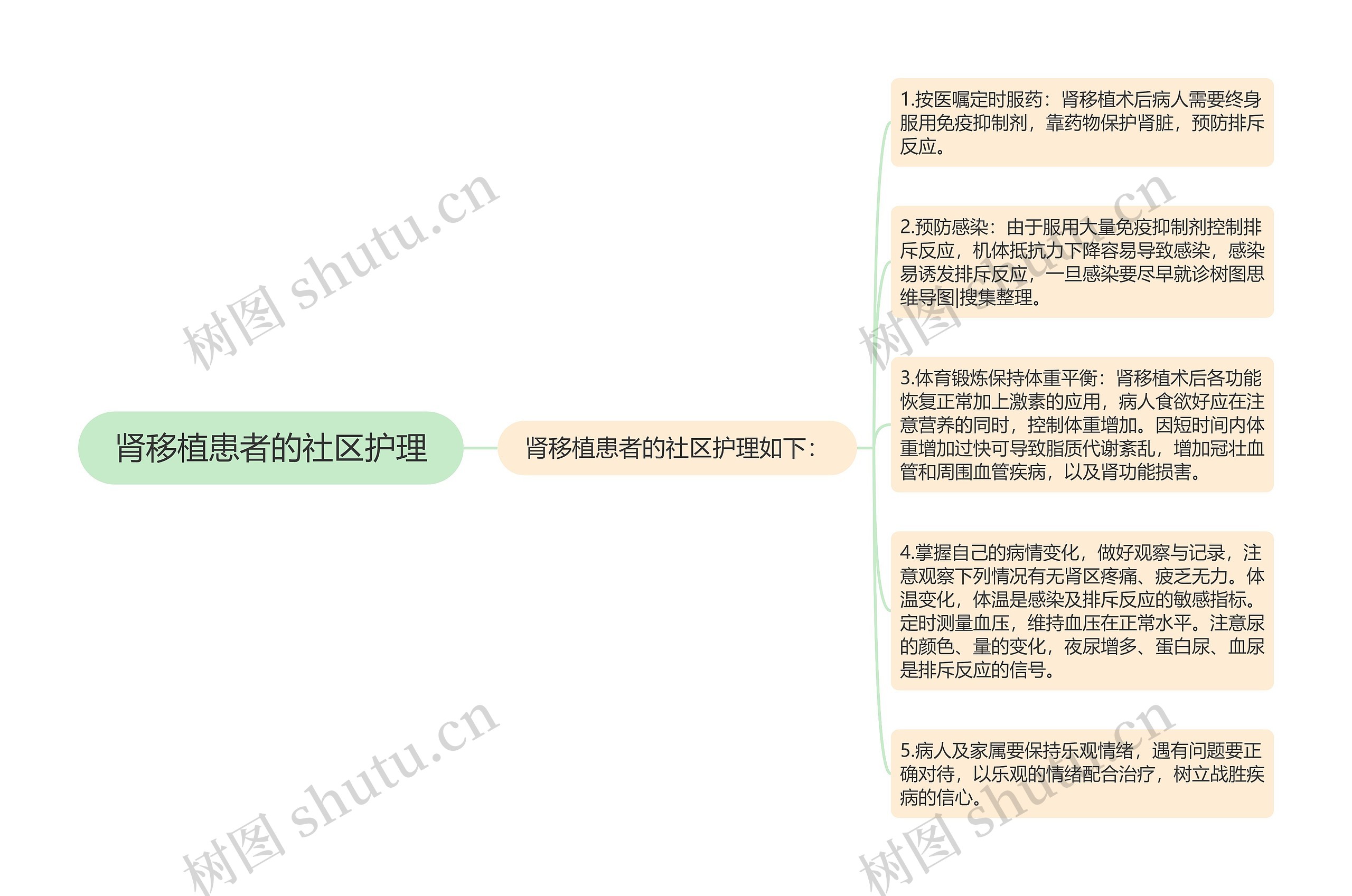 肾移植患者的社区护理 肾移植患者的社区护理