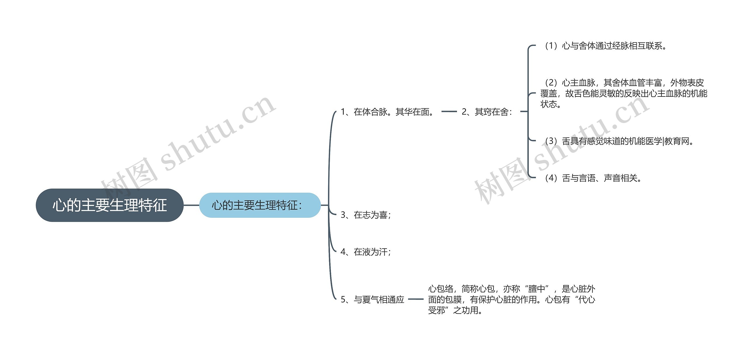 心的主要生理特征