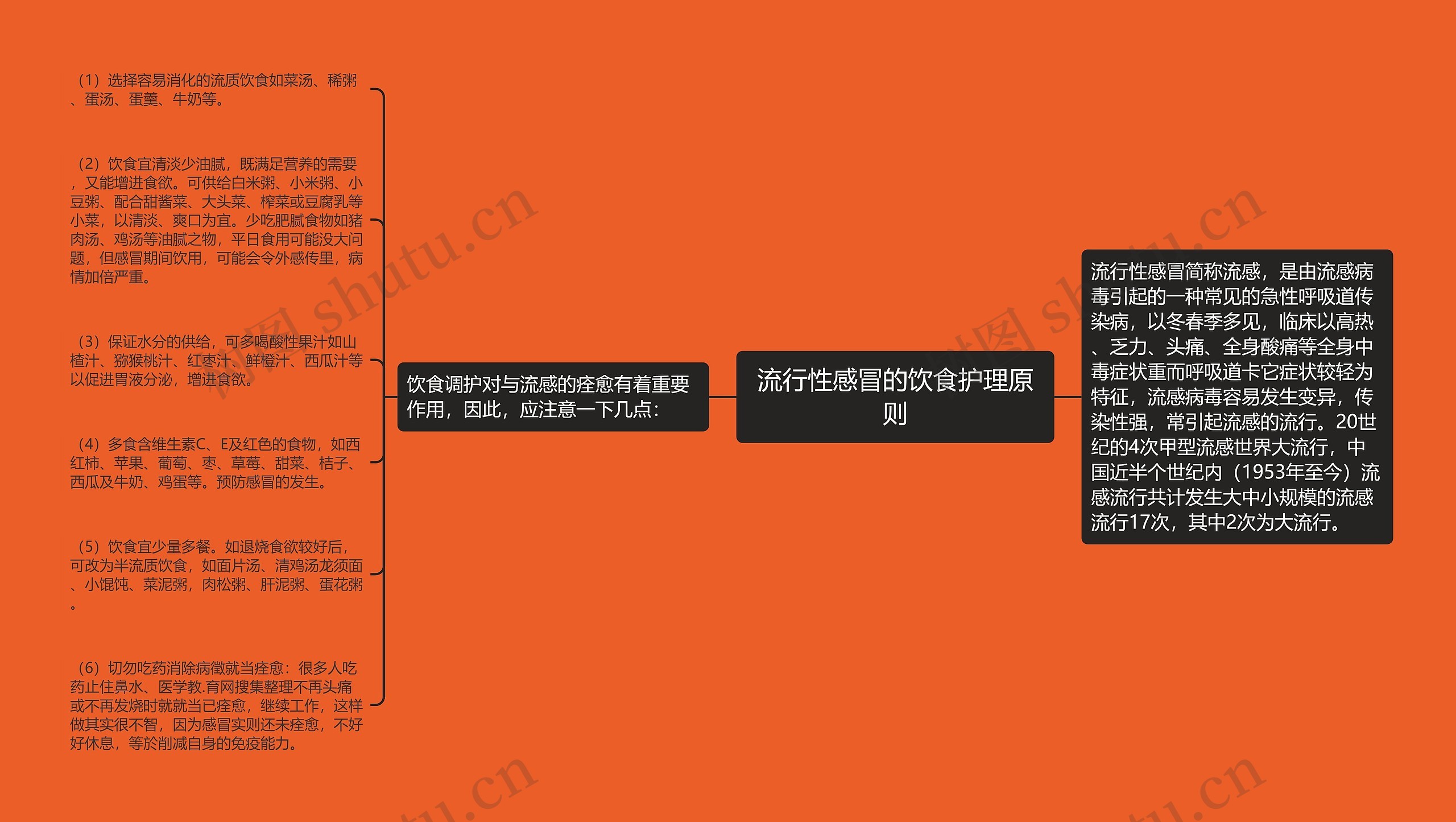 流行性感冒的饮食护理原则思维导图