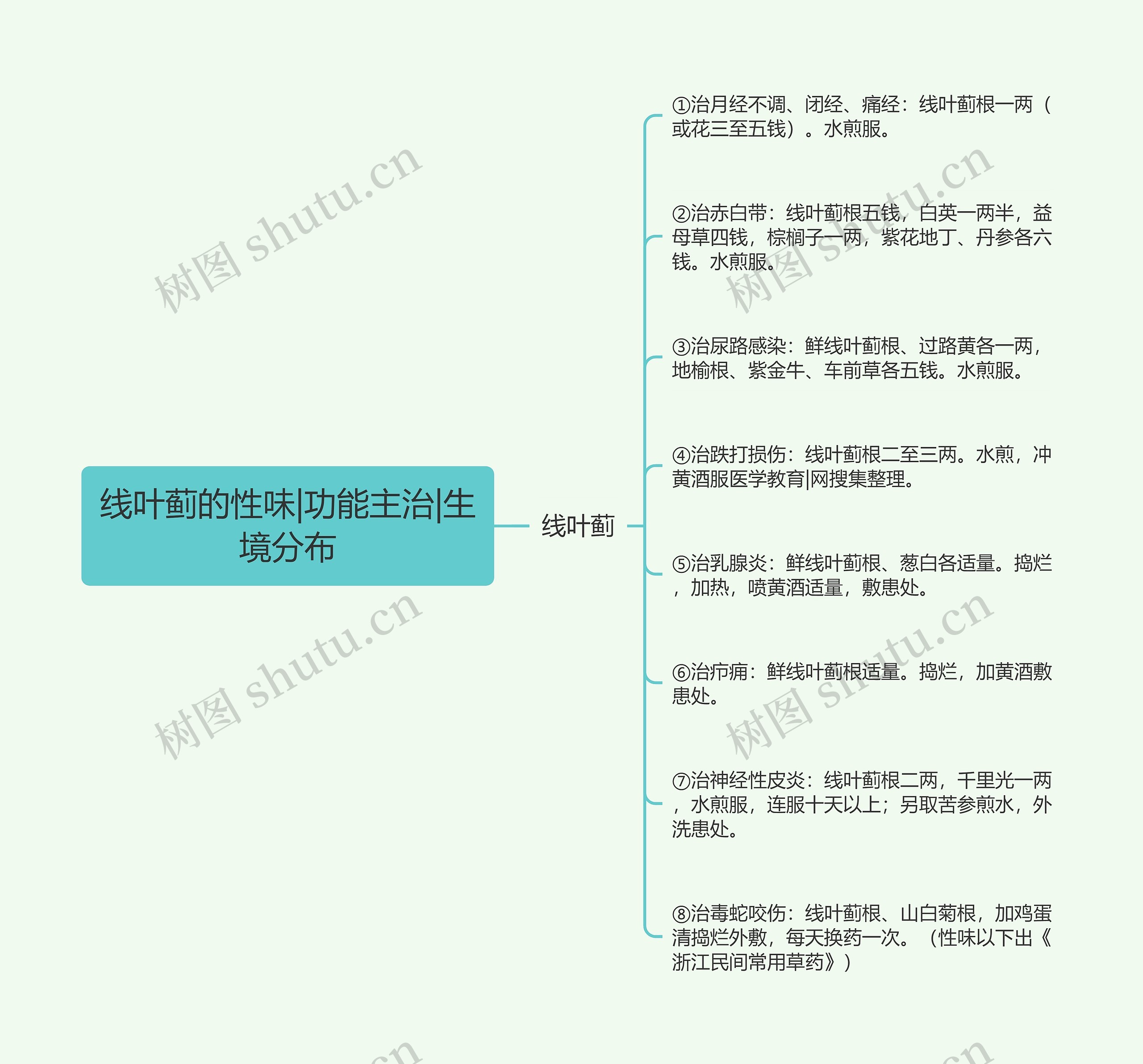 线叶蓟的性味|功能主治|生境分布 线叶蓟的性味|功能主治|生境分布