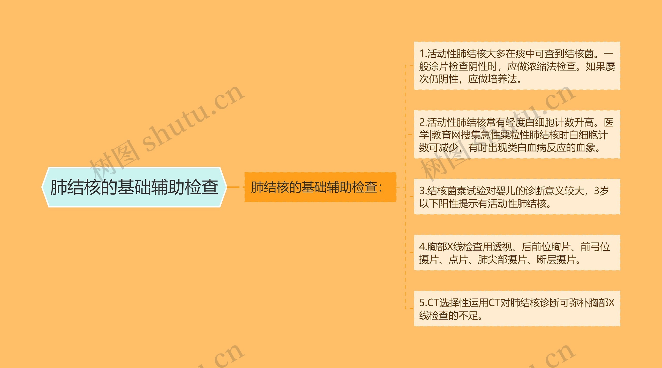 肺结核的基础辅助检查 肺结核的基础辅助检查