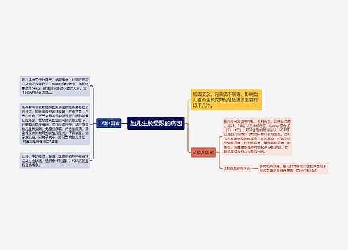 胎儿生长受限的病因