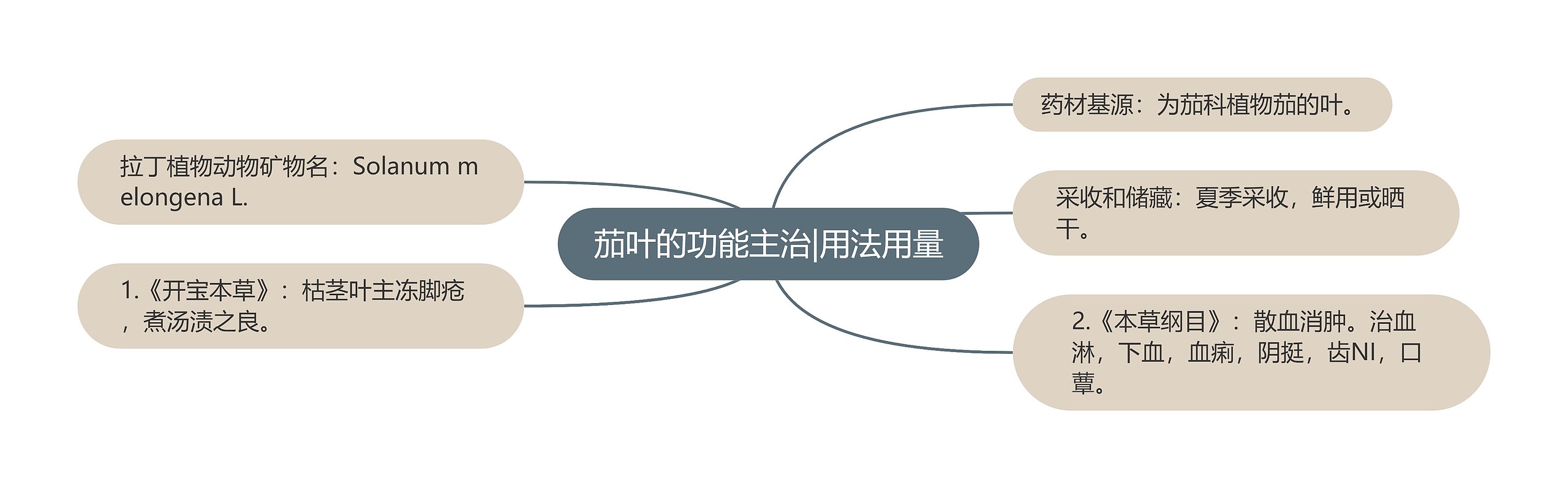 茄叶的功能主治|用法用量 茄叶的功能主治|用法用量