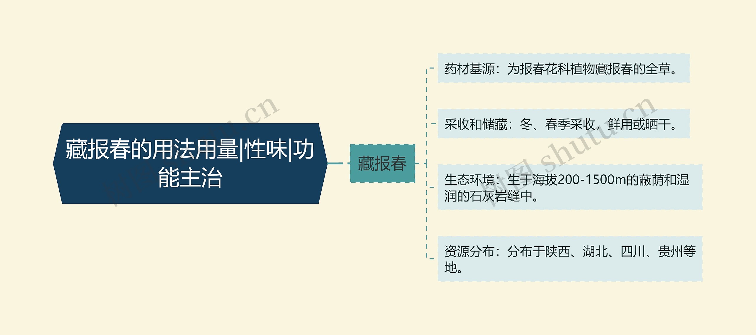 藏报春的用法用量|性味|功能主治