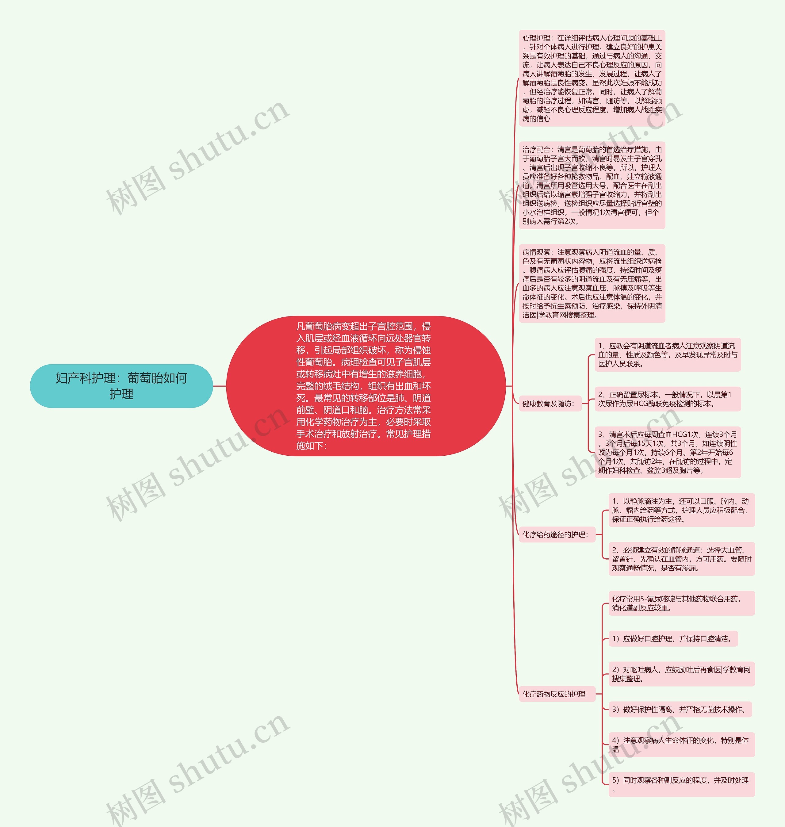 妇产科护理：葡萄胎如何护理