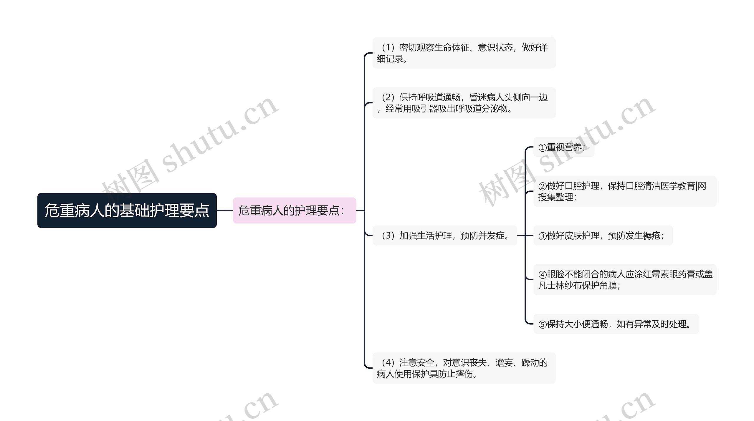 危重病人的基础护理要点