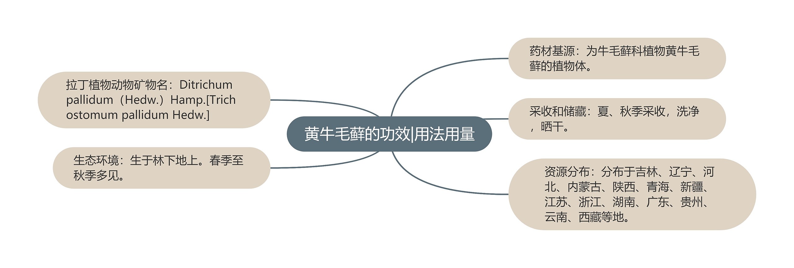 黄牛毛藓的功效|用法用量 黄牛毛藓的功效|用法用量