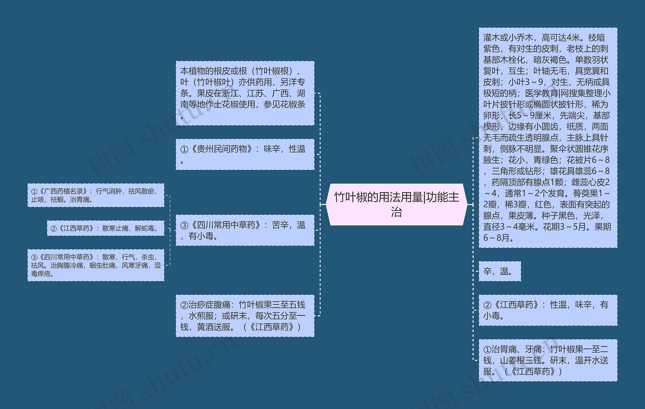 竹叶椒的用法用量|功能主治 竹叶椒的用法用量|功能主治