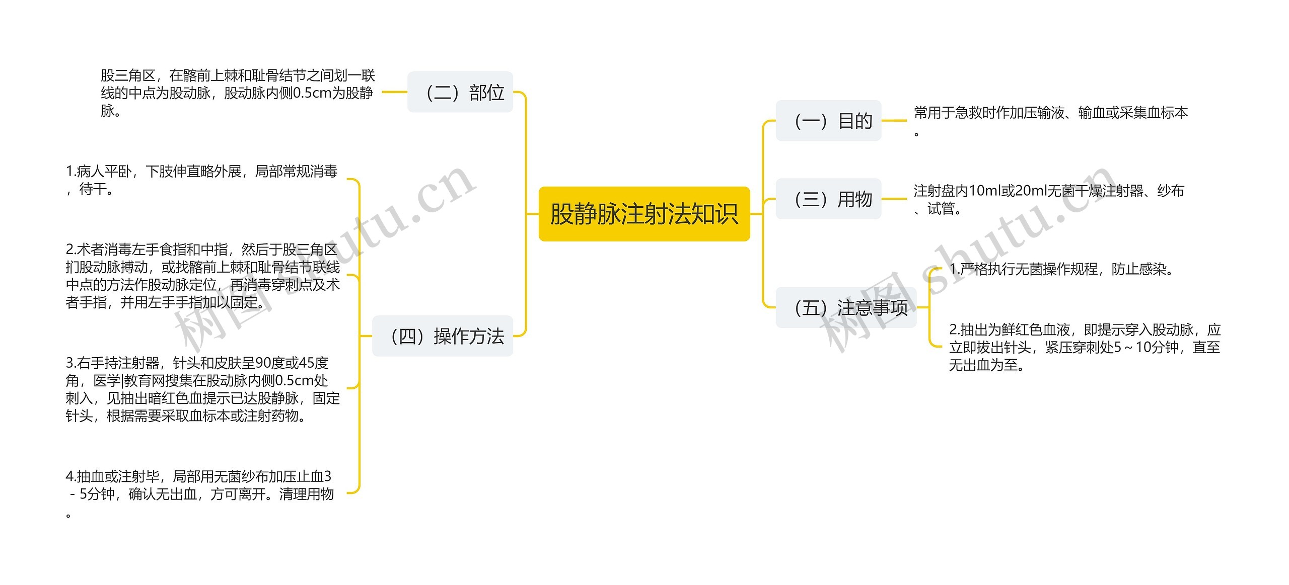 股静脉注射法知识思维导图