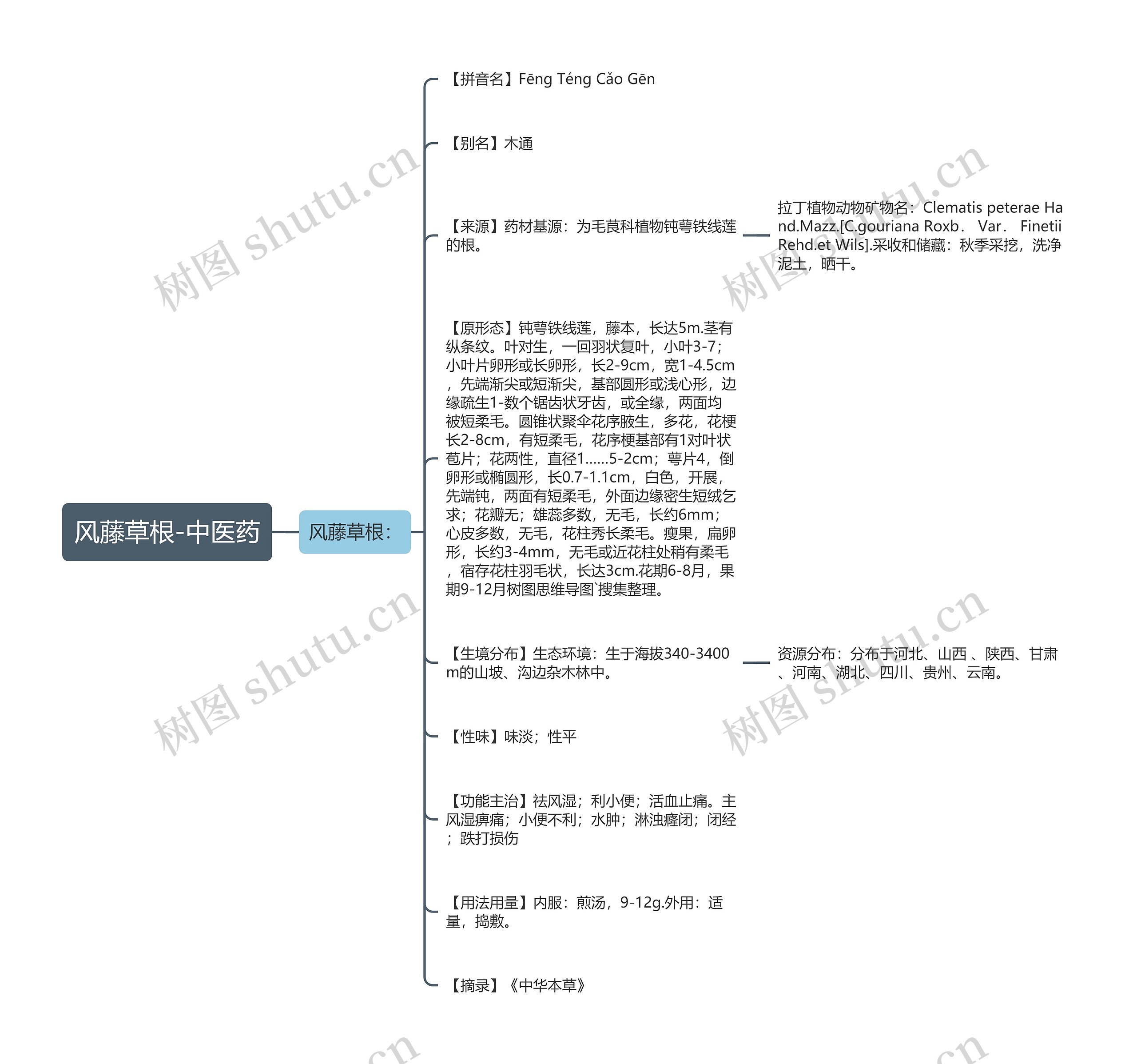 风藤草根-中医药思维导图