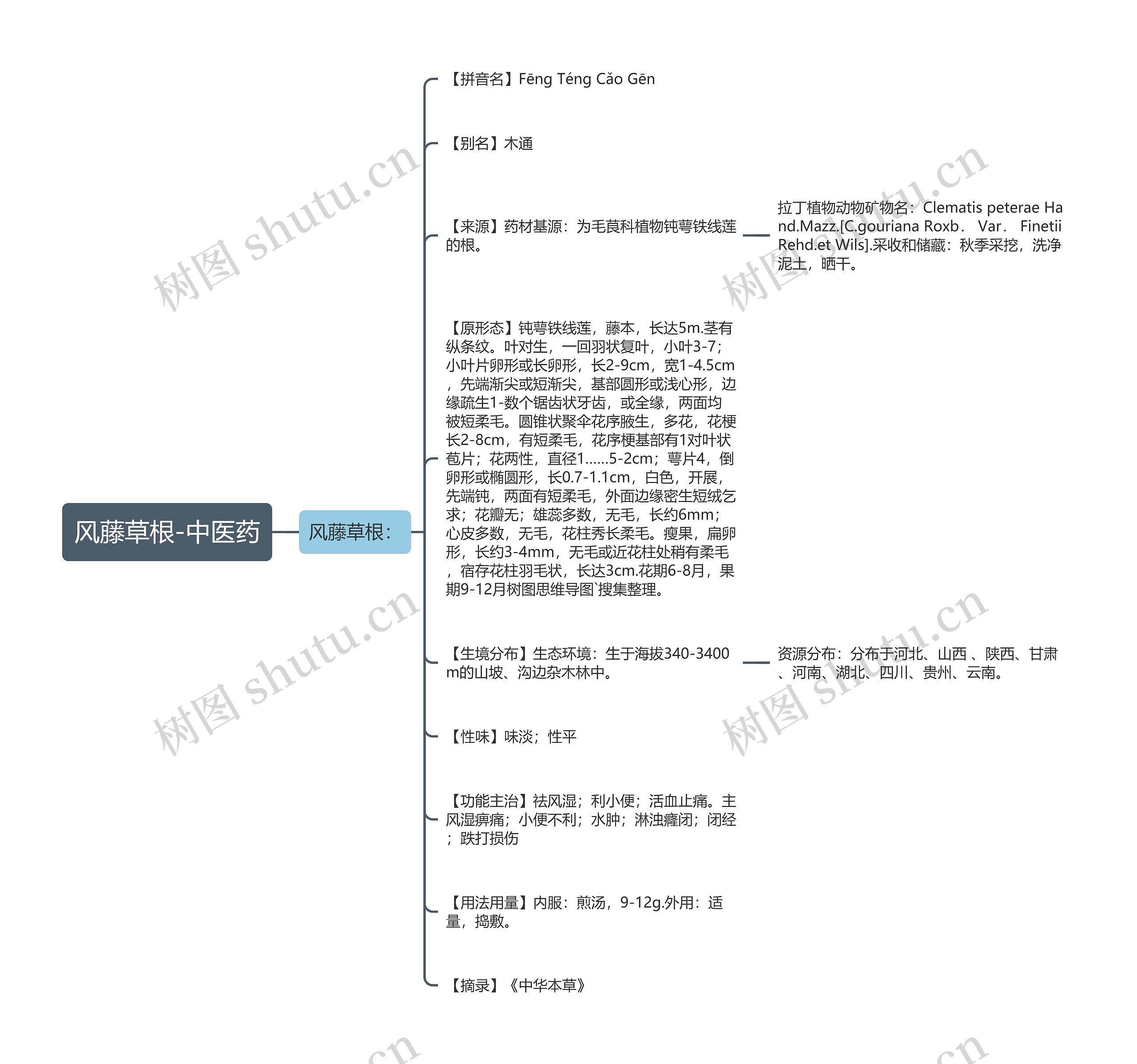 风藤草根-中医药 风藤草根-中医药