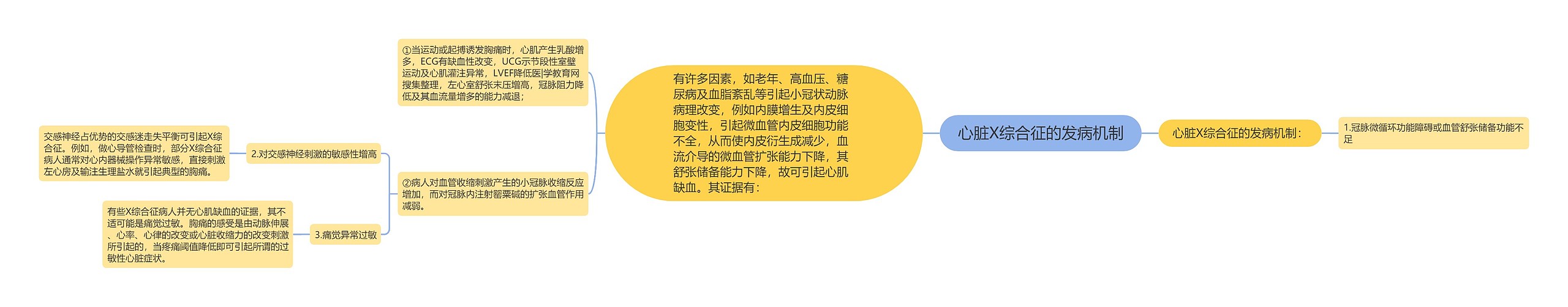 心脏X综合征的发病机制