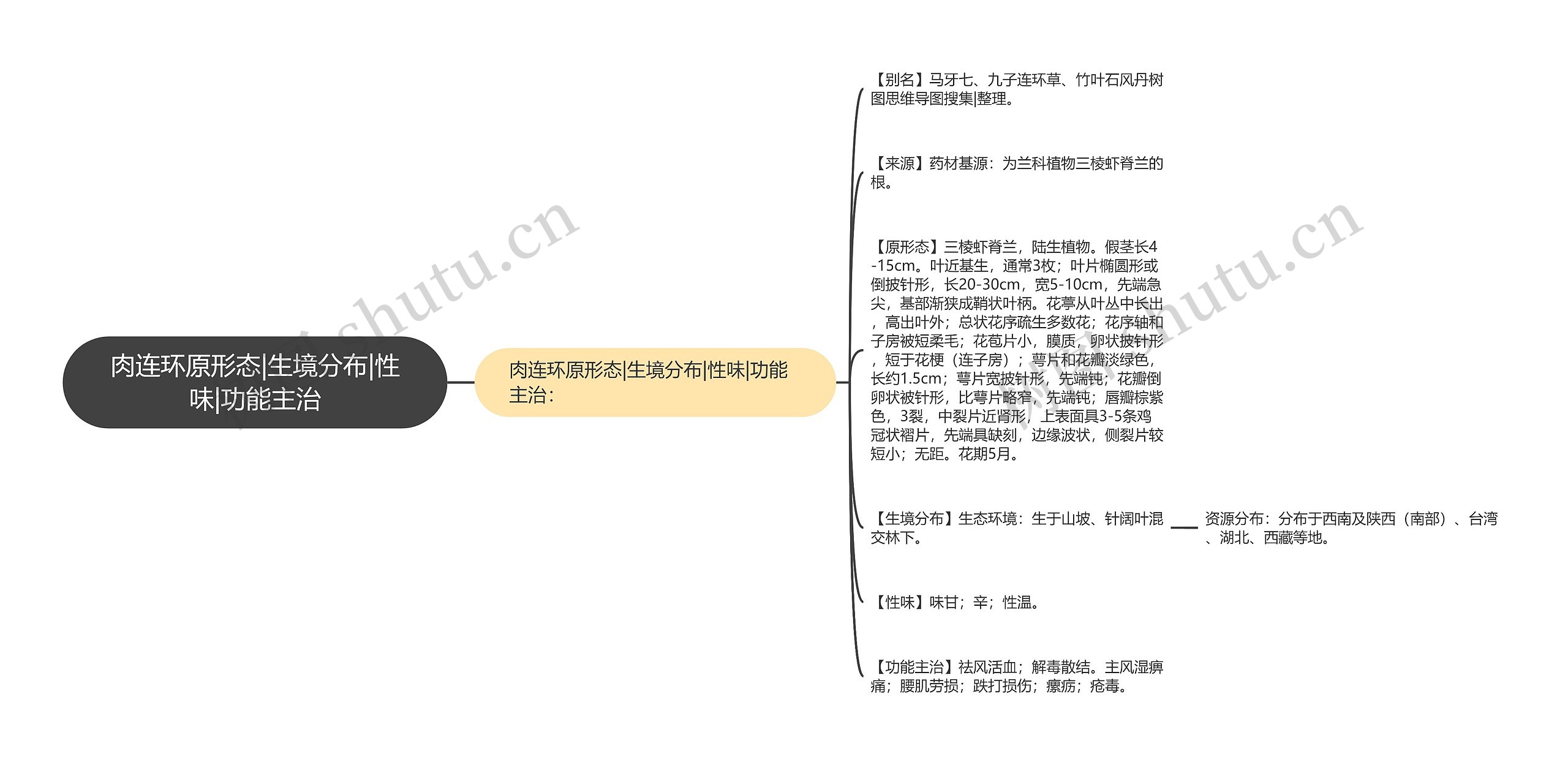 肉连环原形态|生境分布|性味|功能主治