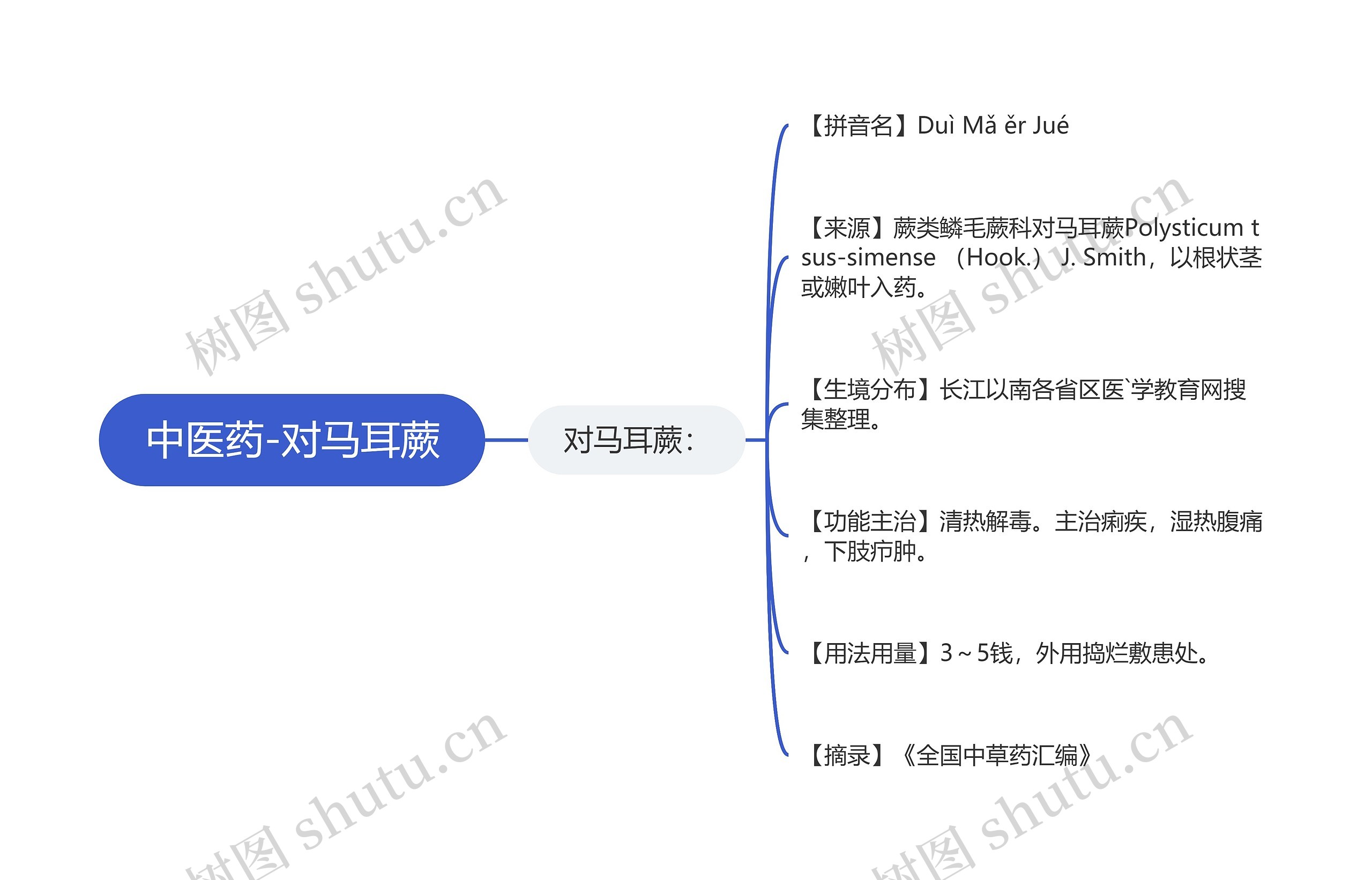 中医药-对马耳蕨思维导图