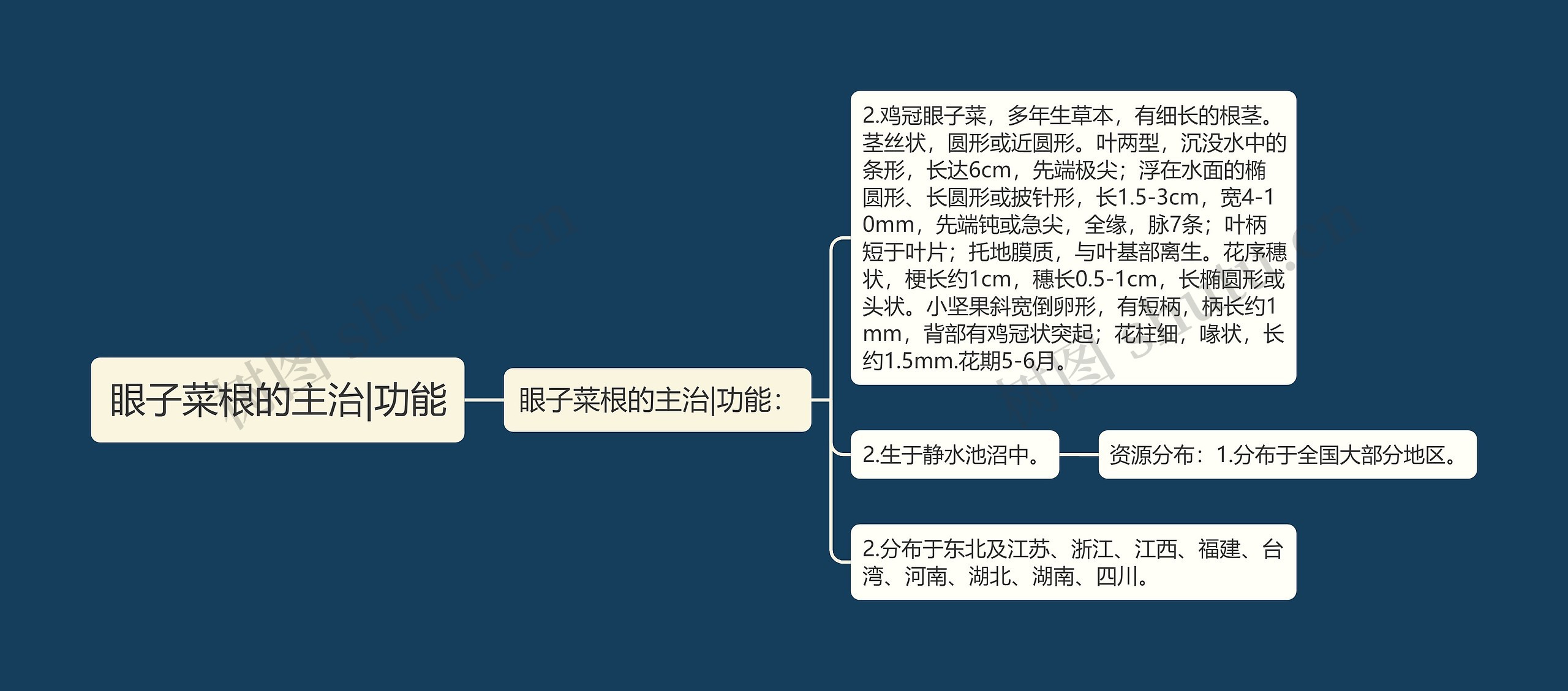 眼子菜根的主治|功能思维导图