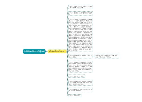 东风草的用法|主治|功能
