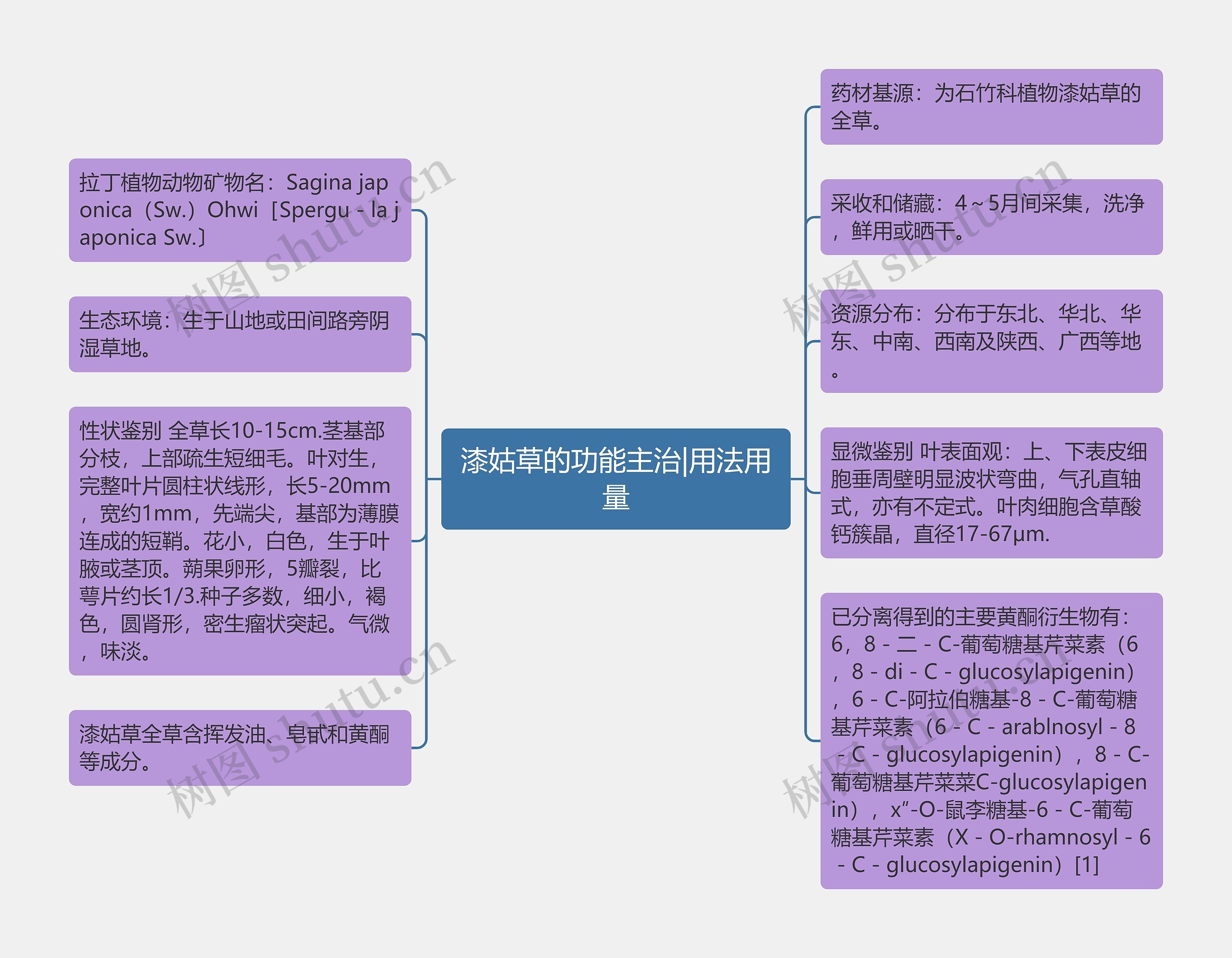 漆姑草的功能主治|用法用量