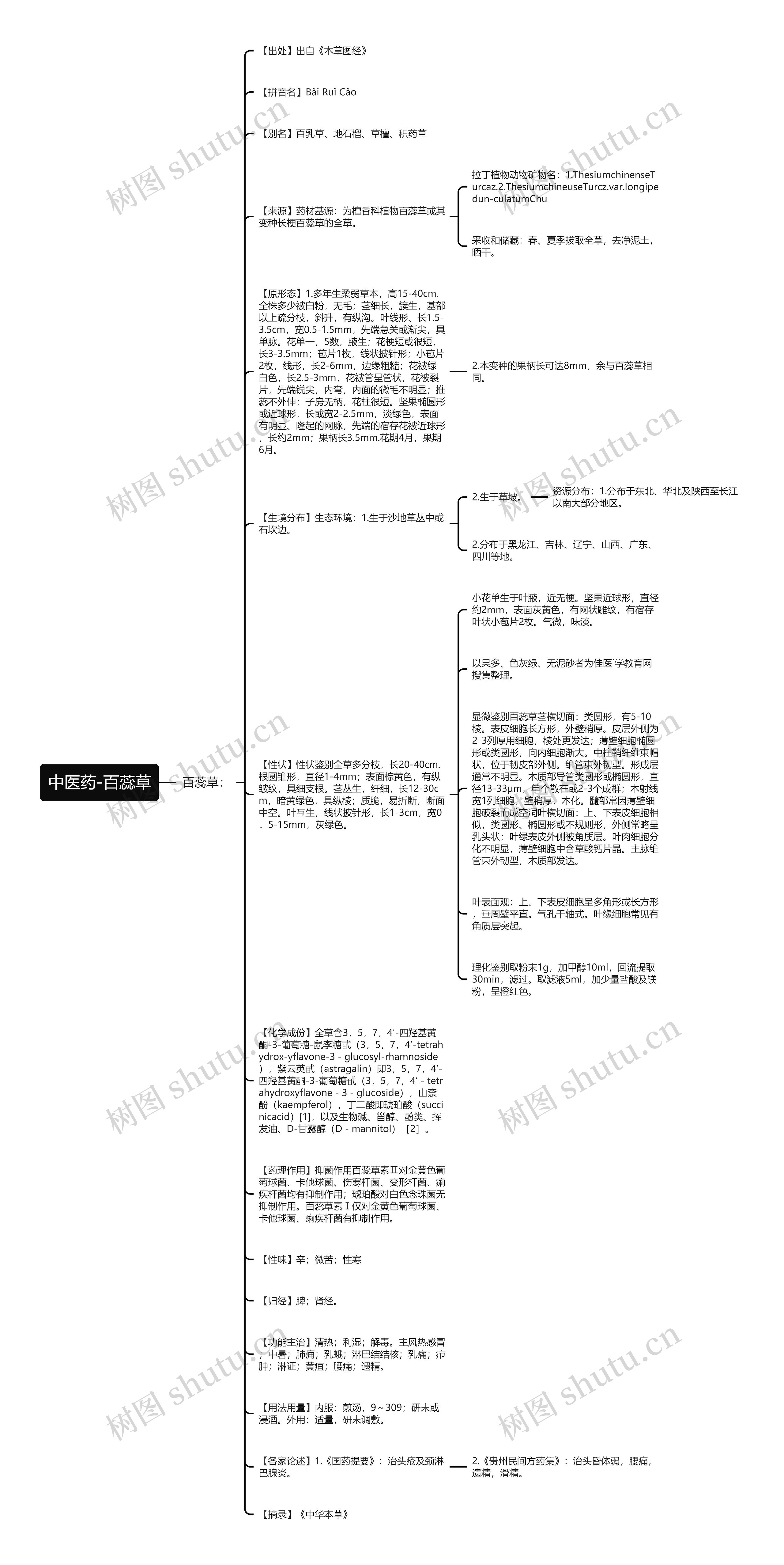 中医药-百蕊草思维导图