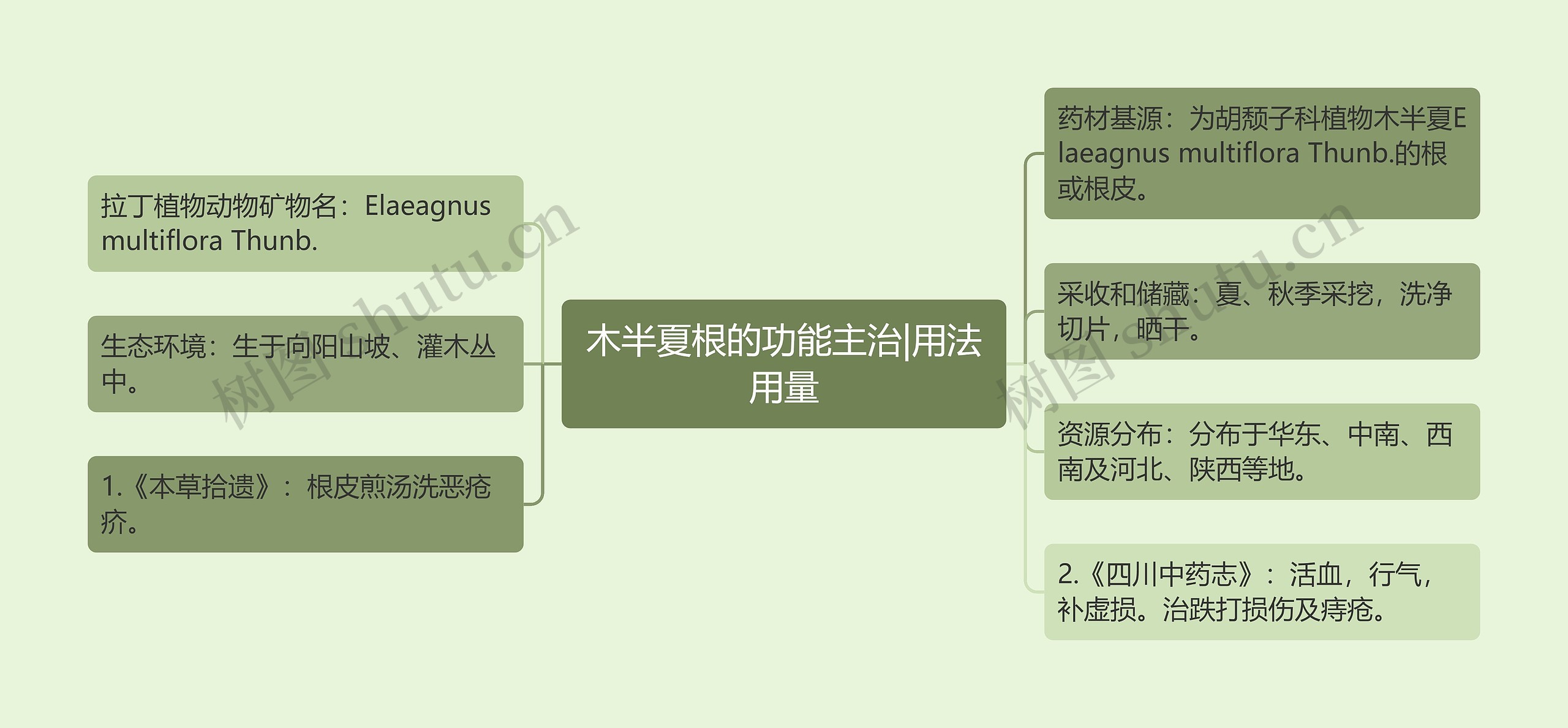 木半夏根的功能主治|用法用量