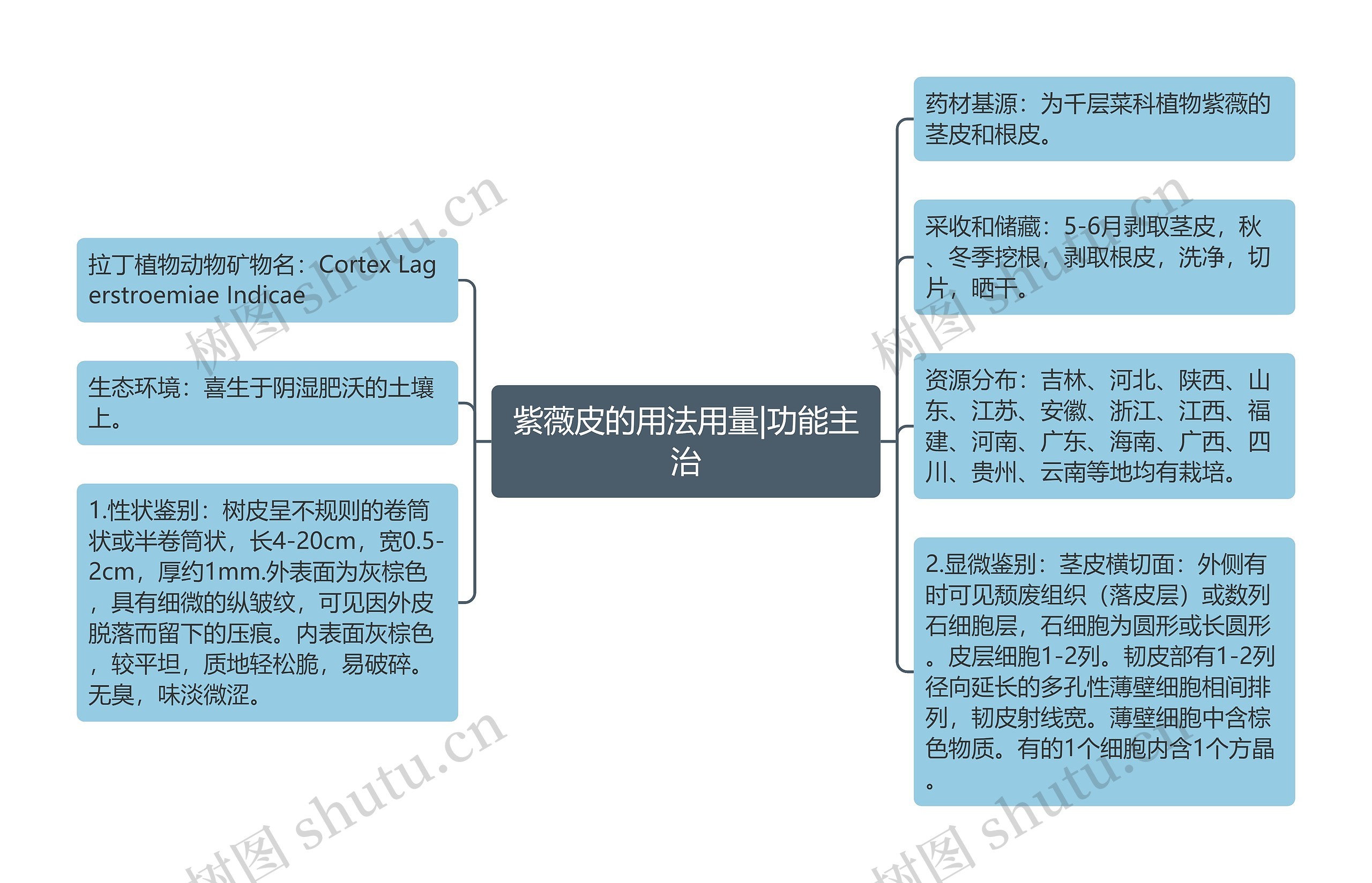 紫薇皮的用法用量|功能主治