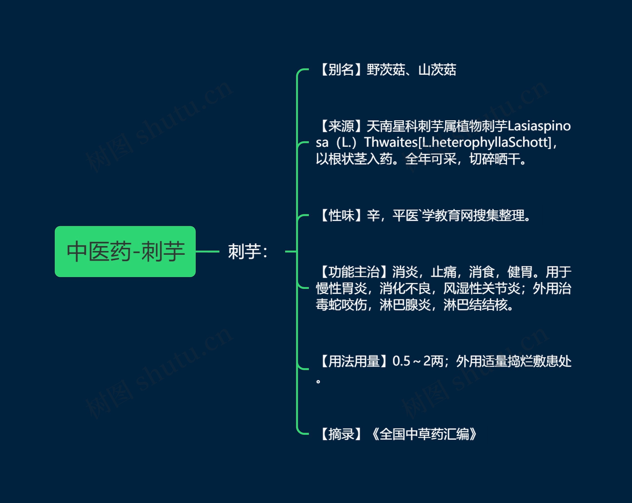 中医药-刺芋 中医药-刺芋