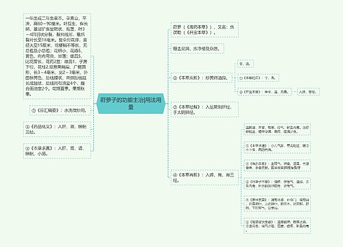 莳萝子的功能主治|用法用量