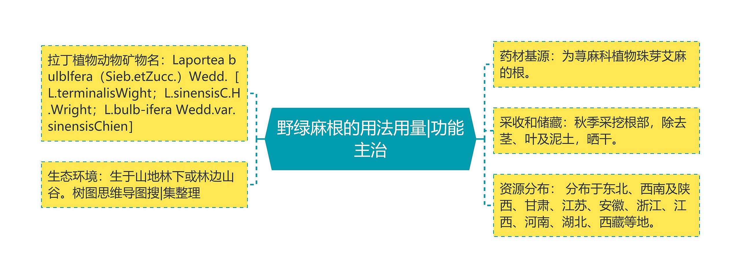 野绿麻根的用法用量|功能主治思维导图