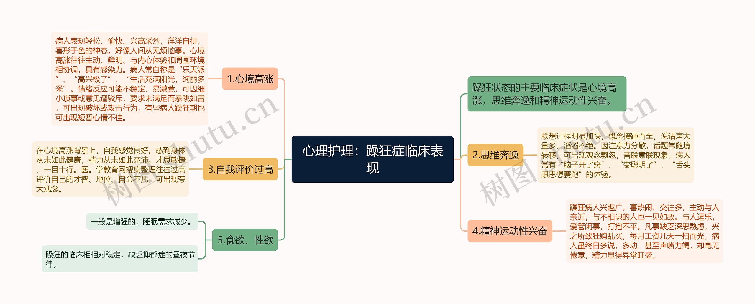 心理护理：躁狂症临床表现思维导图