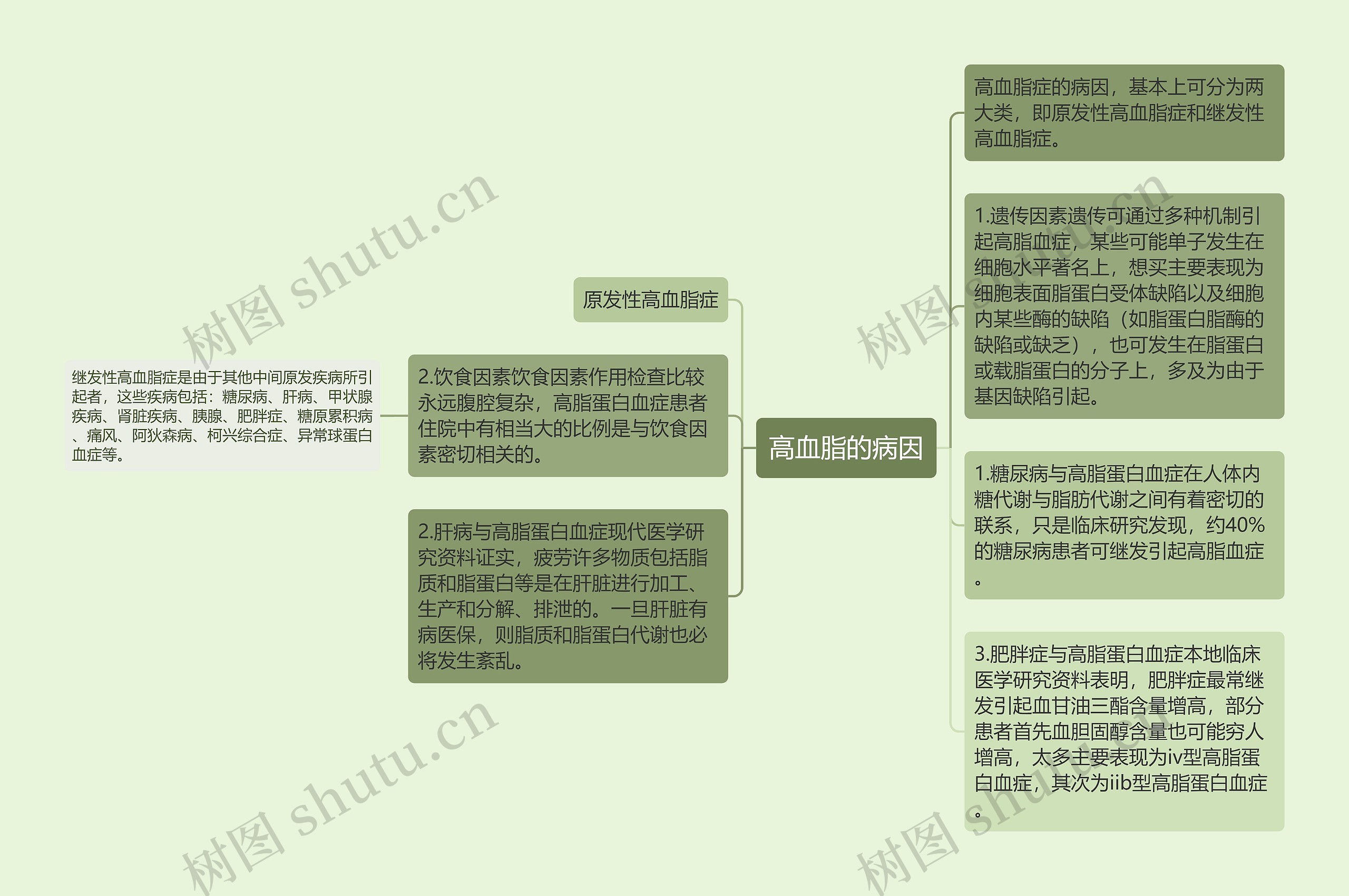 高血脂的病因思维导图