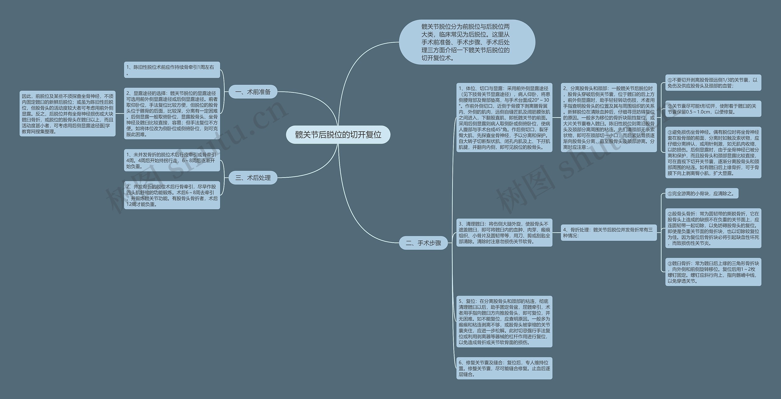 髋关节后脱位的切开复位 髋关节后脱位的切开复位