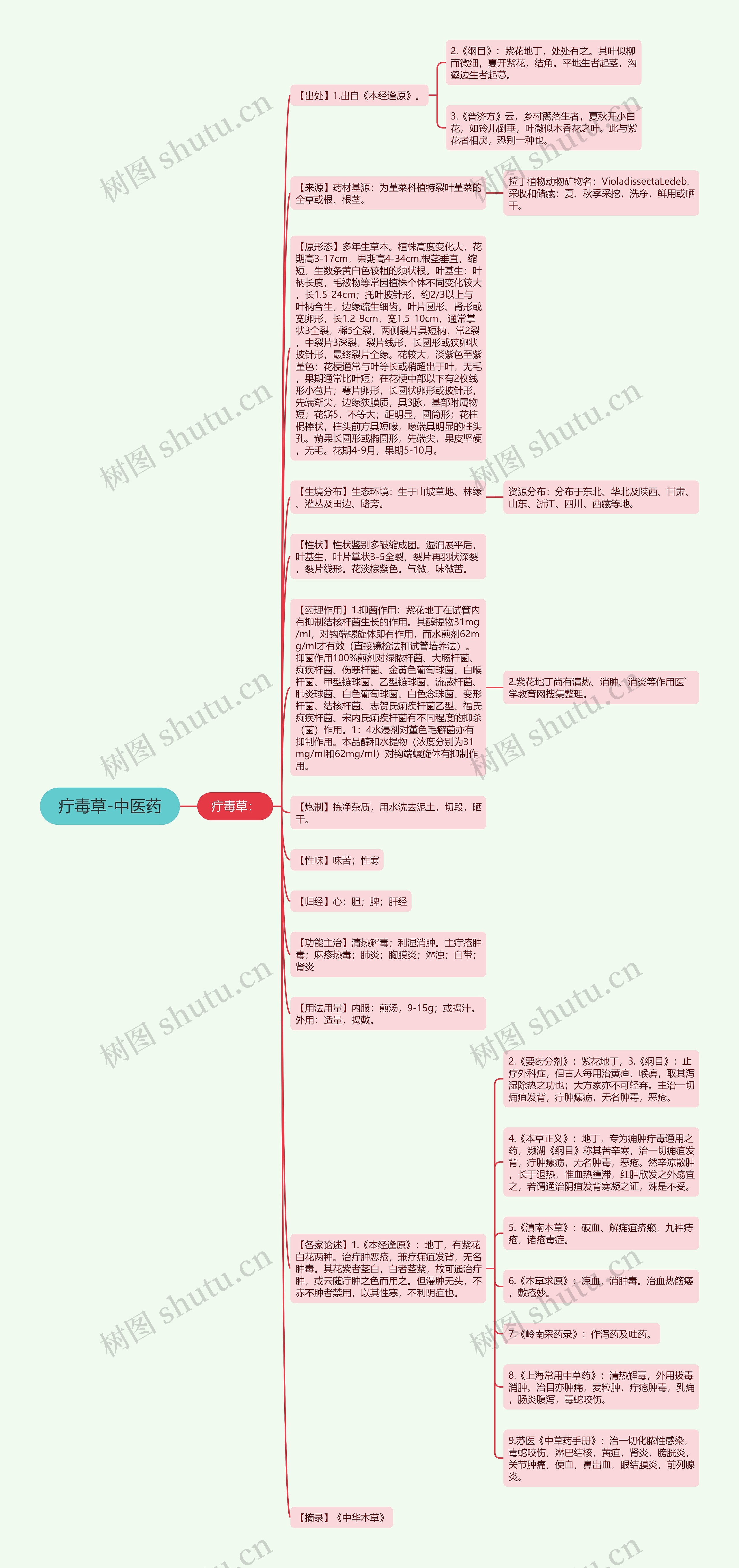 疔毒草-中医药思维导图