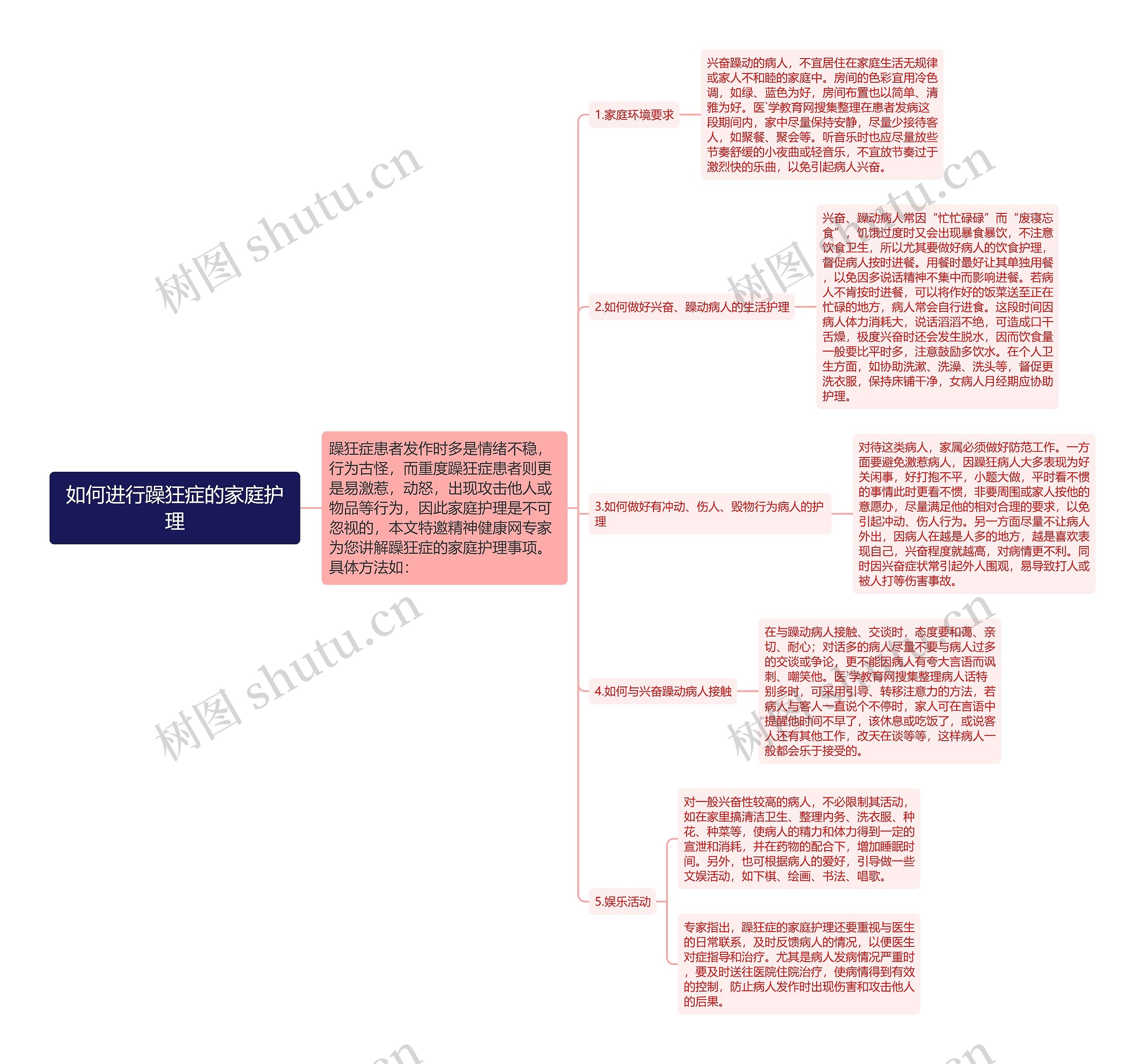 如何进行躁狂症的家庭护理思维导图