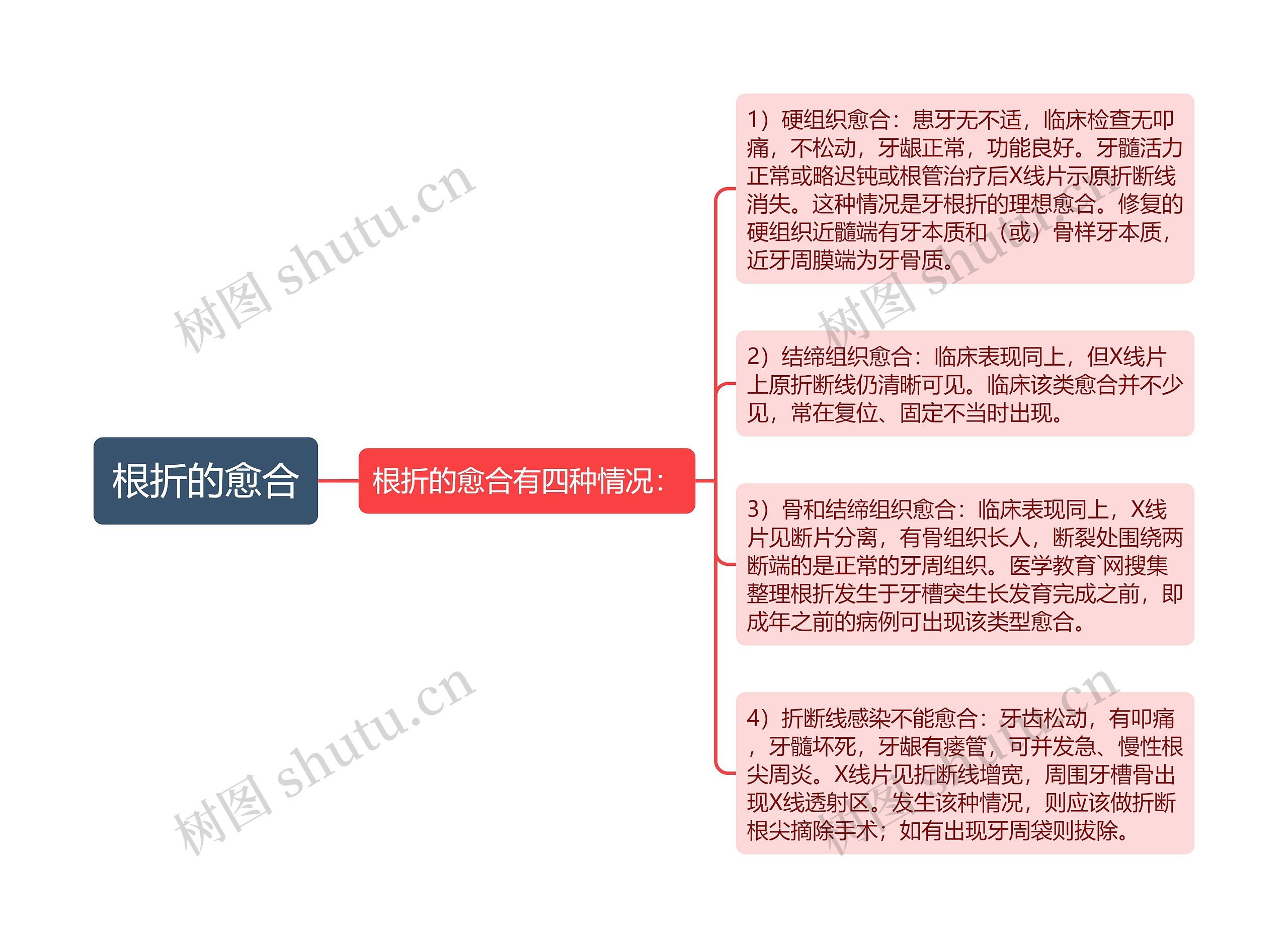 根折的愈合思维导图