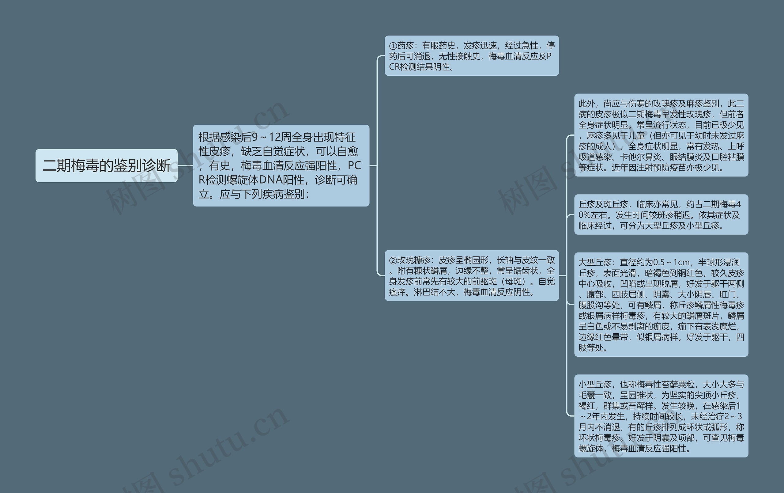 二期梅毒的鉴别诊断思维导图